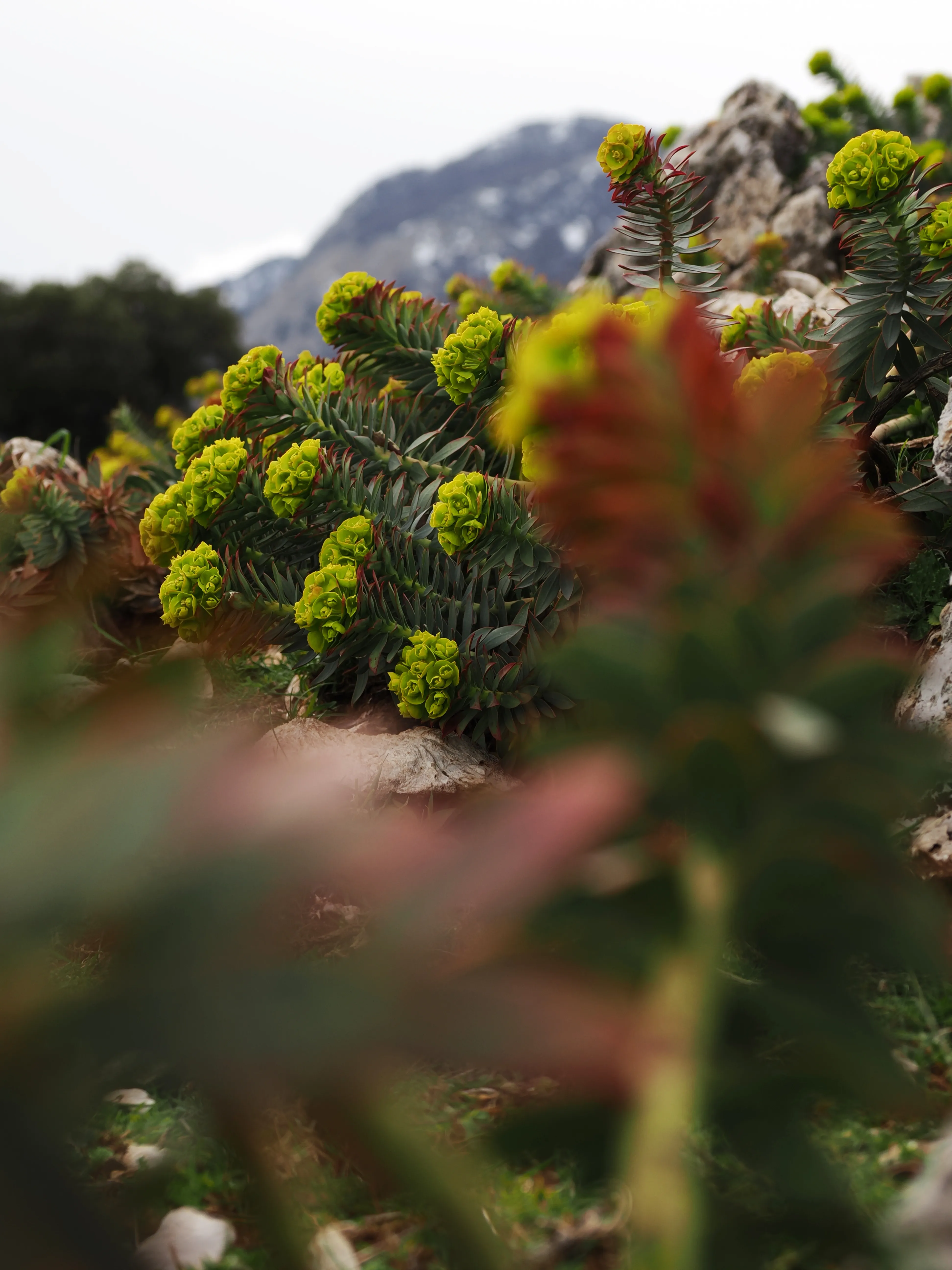 Dentro le Madonie con Matteo Orlando. Racconto visivo tra bellezza e mutamento