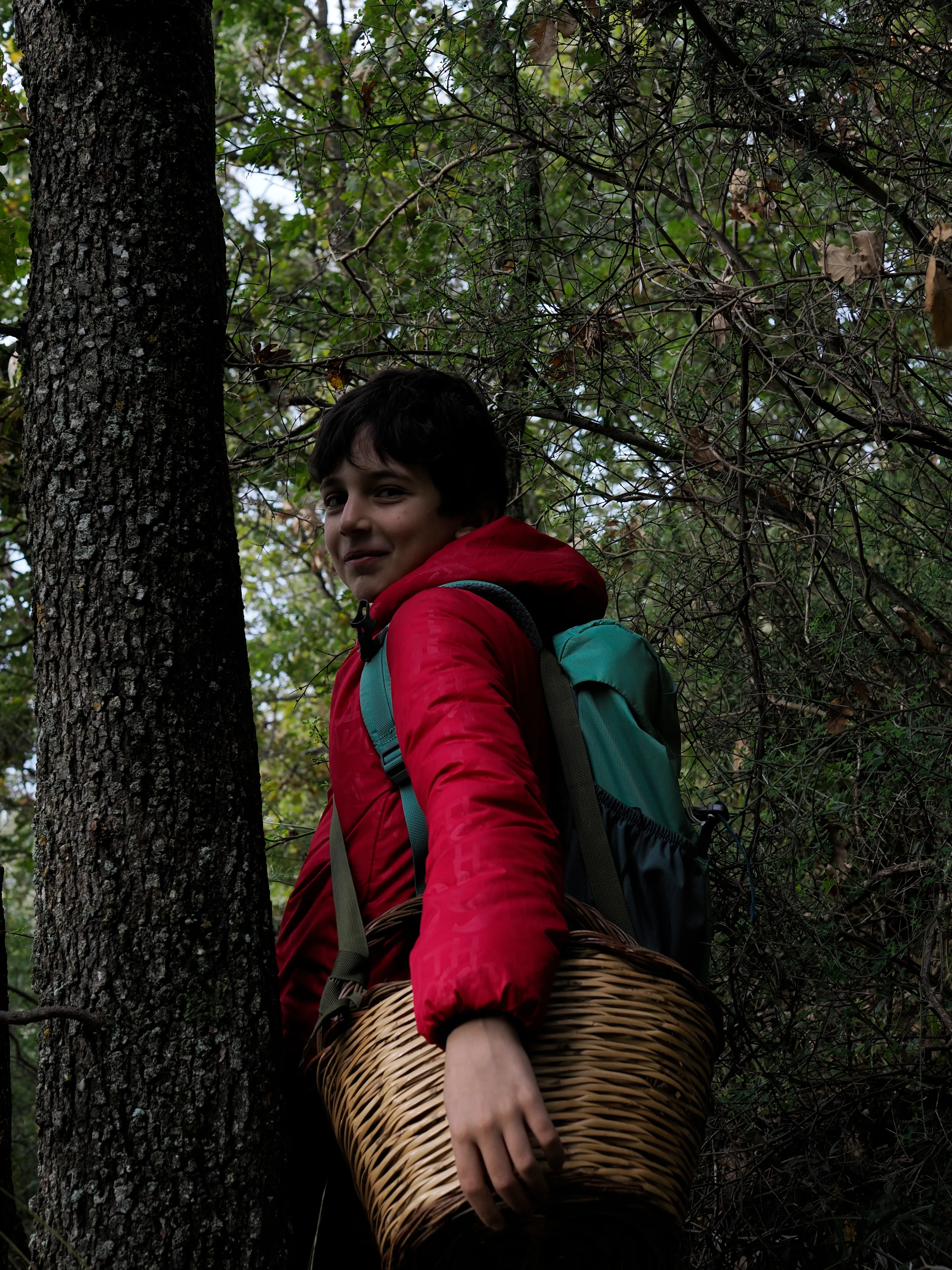Nel bosco di cerri. La natura che insegna e cresce