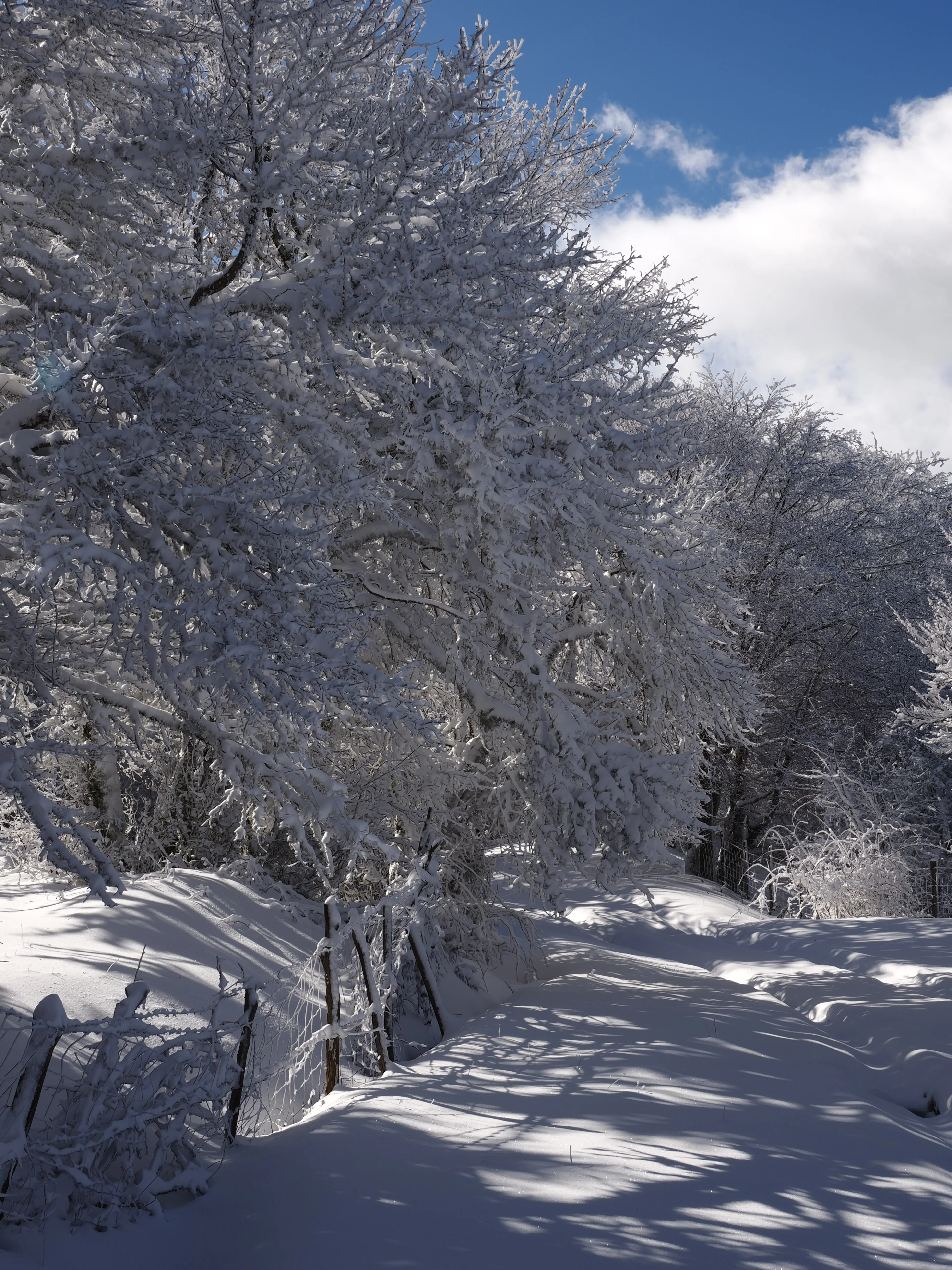 Strati di neve e libertà