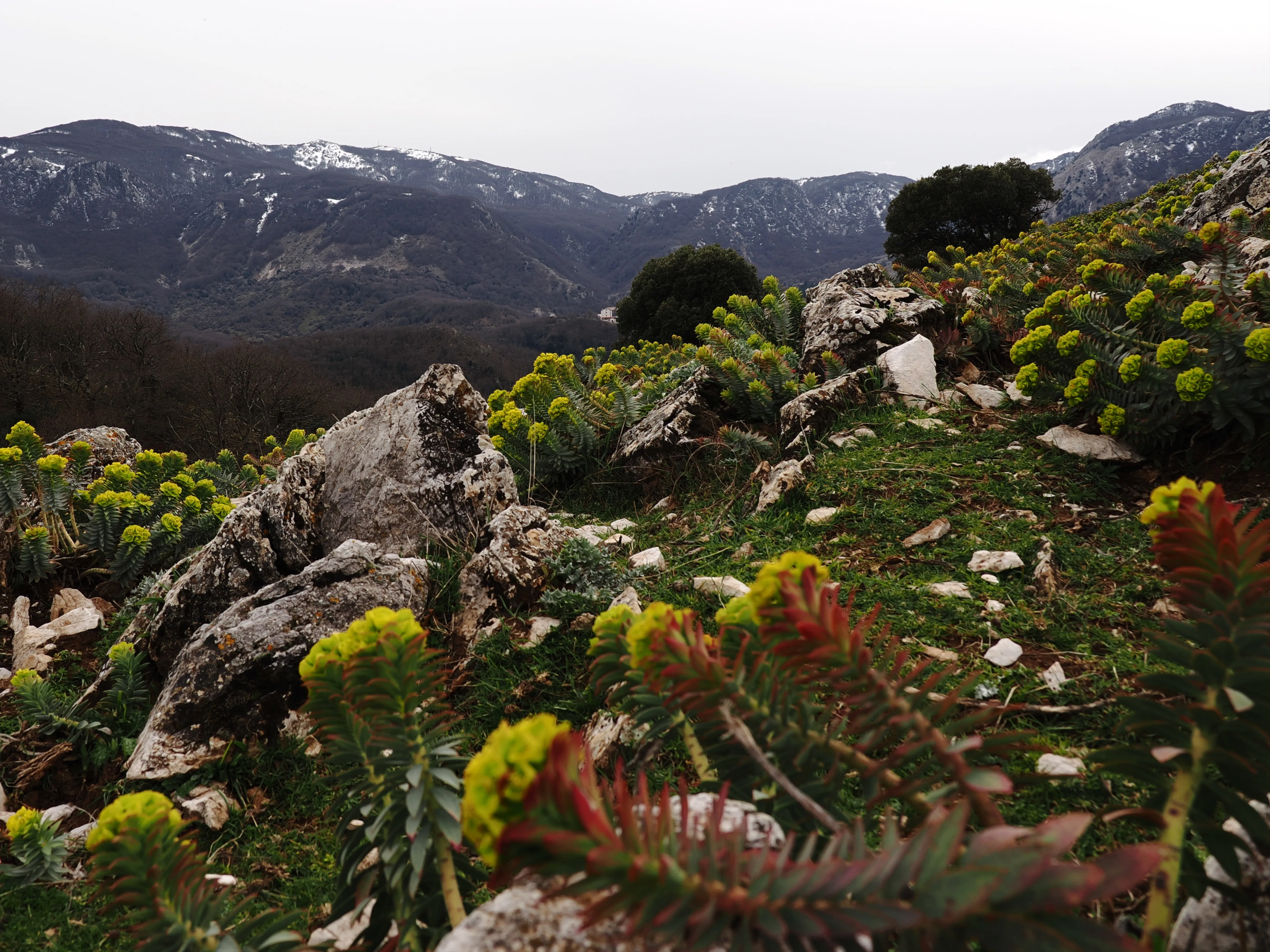 Dentro le Madonie con Matteo Orlando. Racconto visivo tra bellezza e mutamento