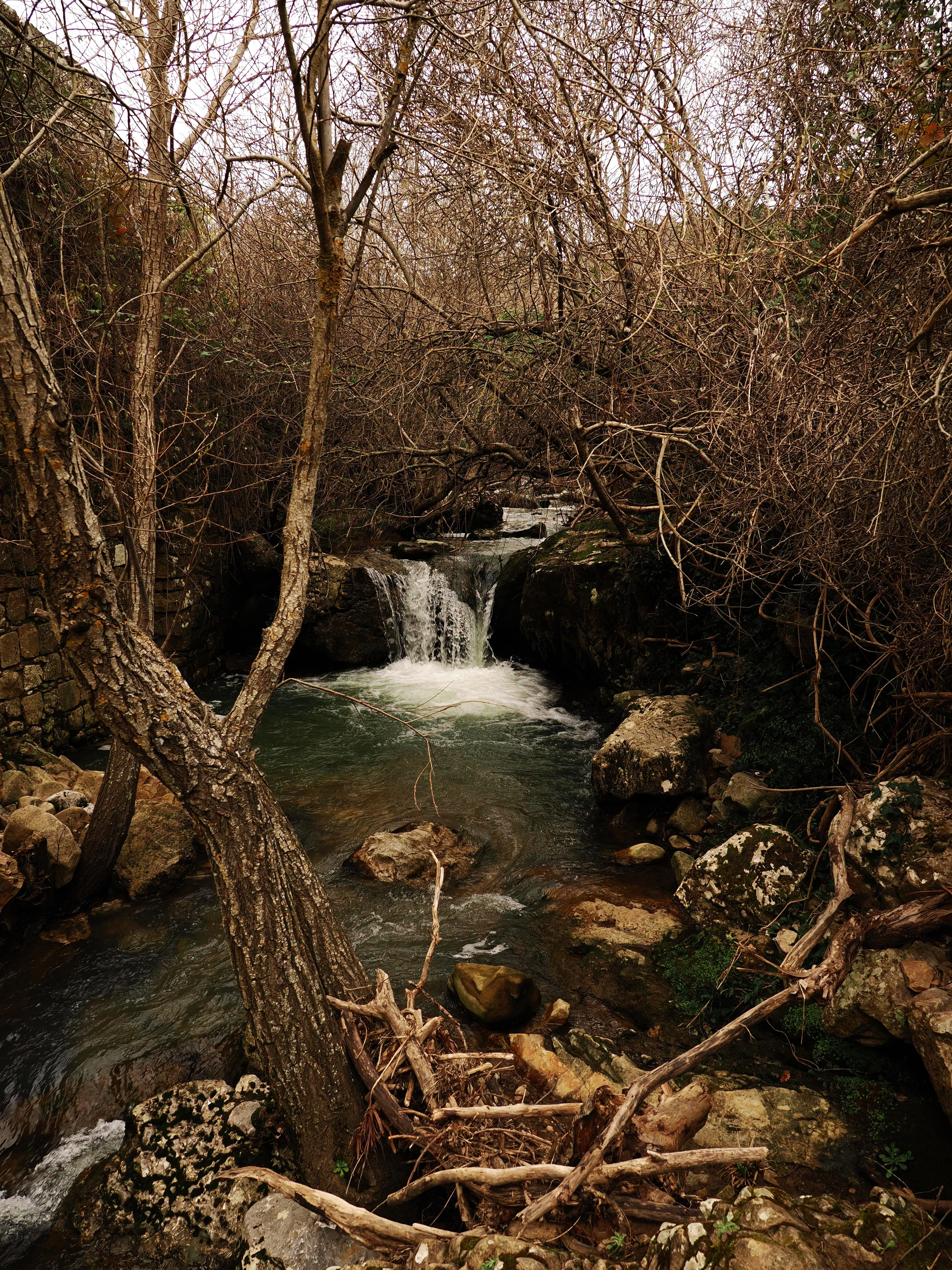 Dentro le Madonie con Matteo Orlando. Racconto visivo tra bellezza e mutamento