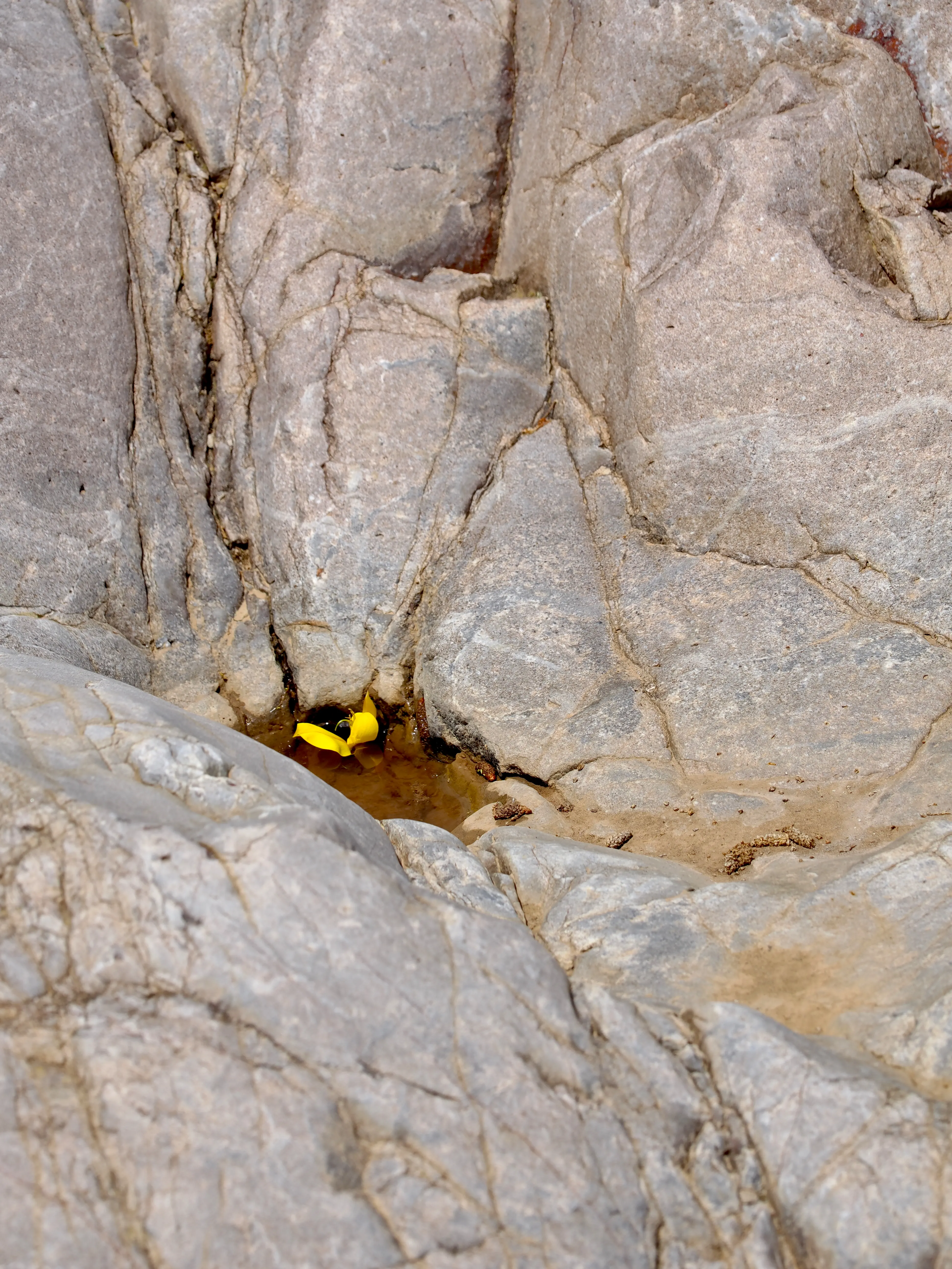 Fiumara Romei. Un luogo che allena la felicità (prima parte)