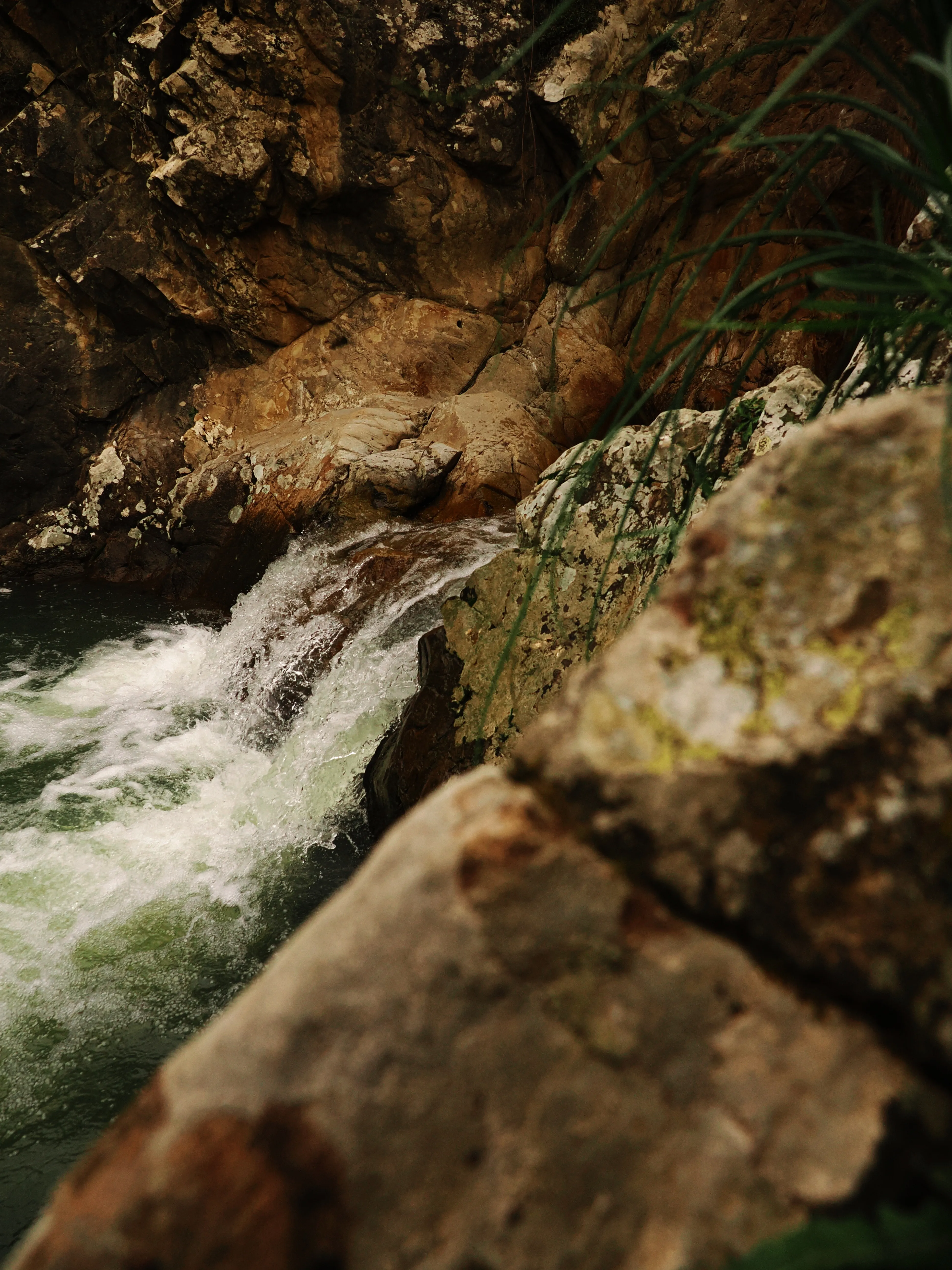 Dentro le Madonie con Matteo Orlando. Racconto visivo tra bellezza e mutamento