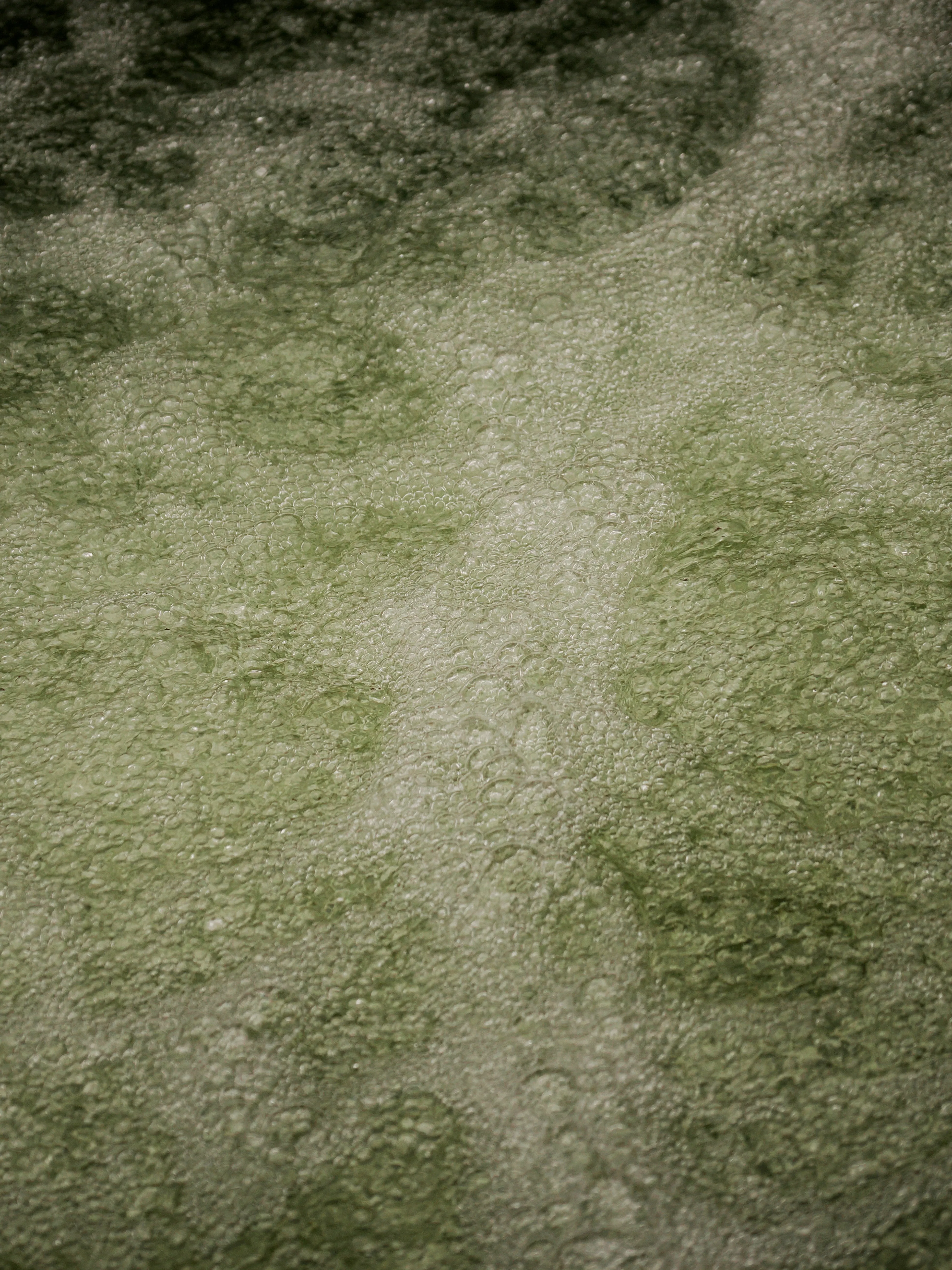 Dentro le Madonie con Matteo Orlando. Racconto visivo tra bellezza e mutamento