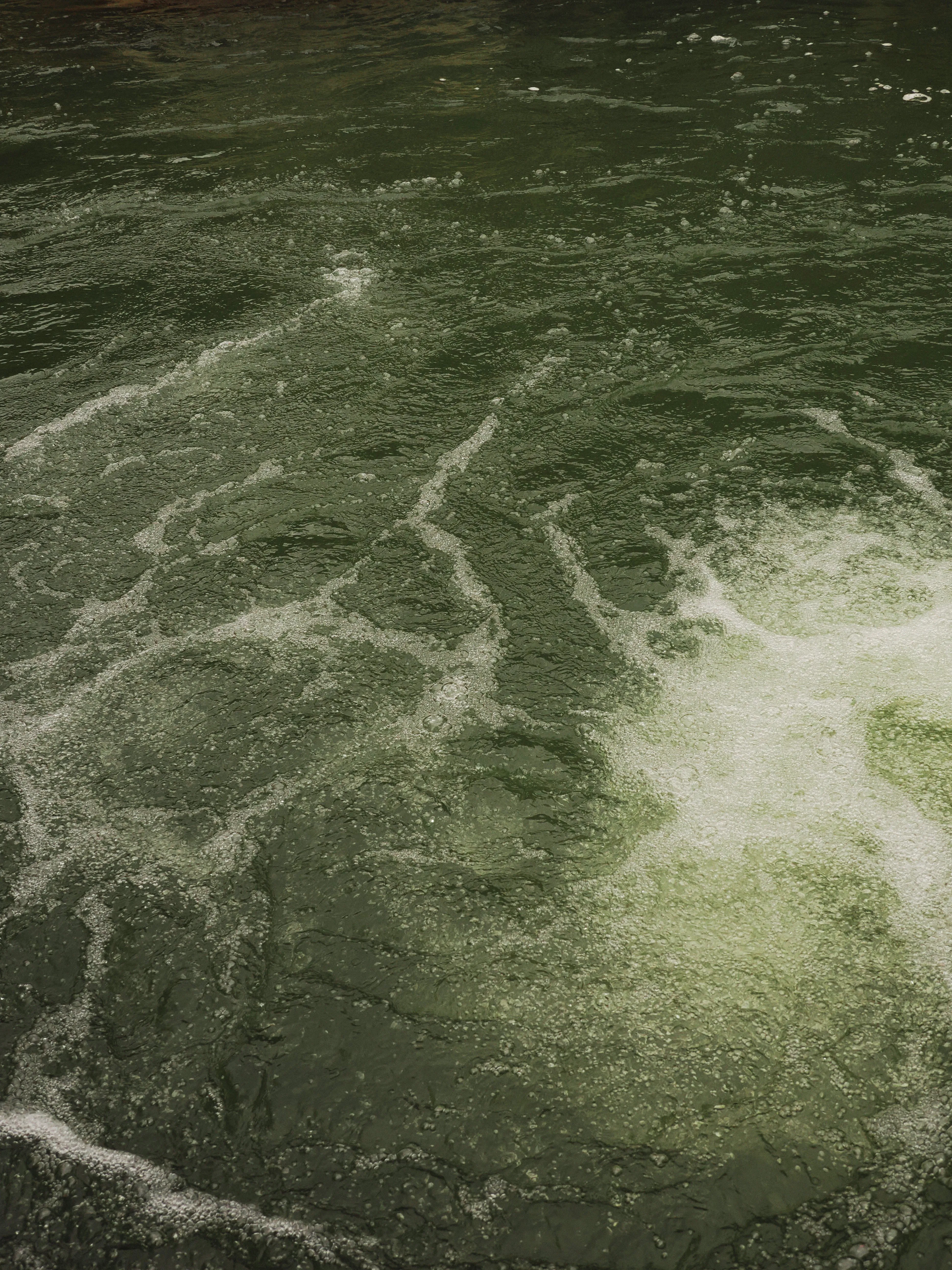Dentro le Madonie con Matteo Orlando. Racconto visivo tra bellezza e mutamento