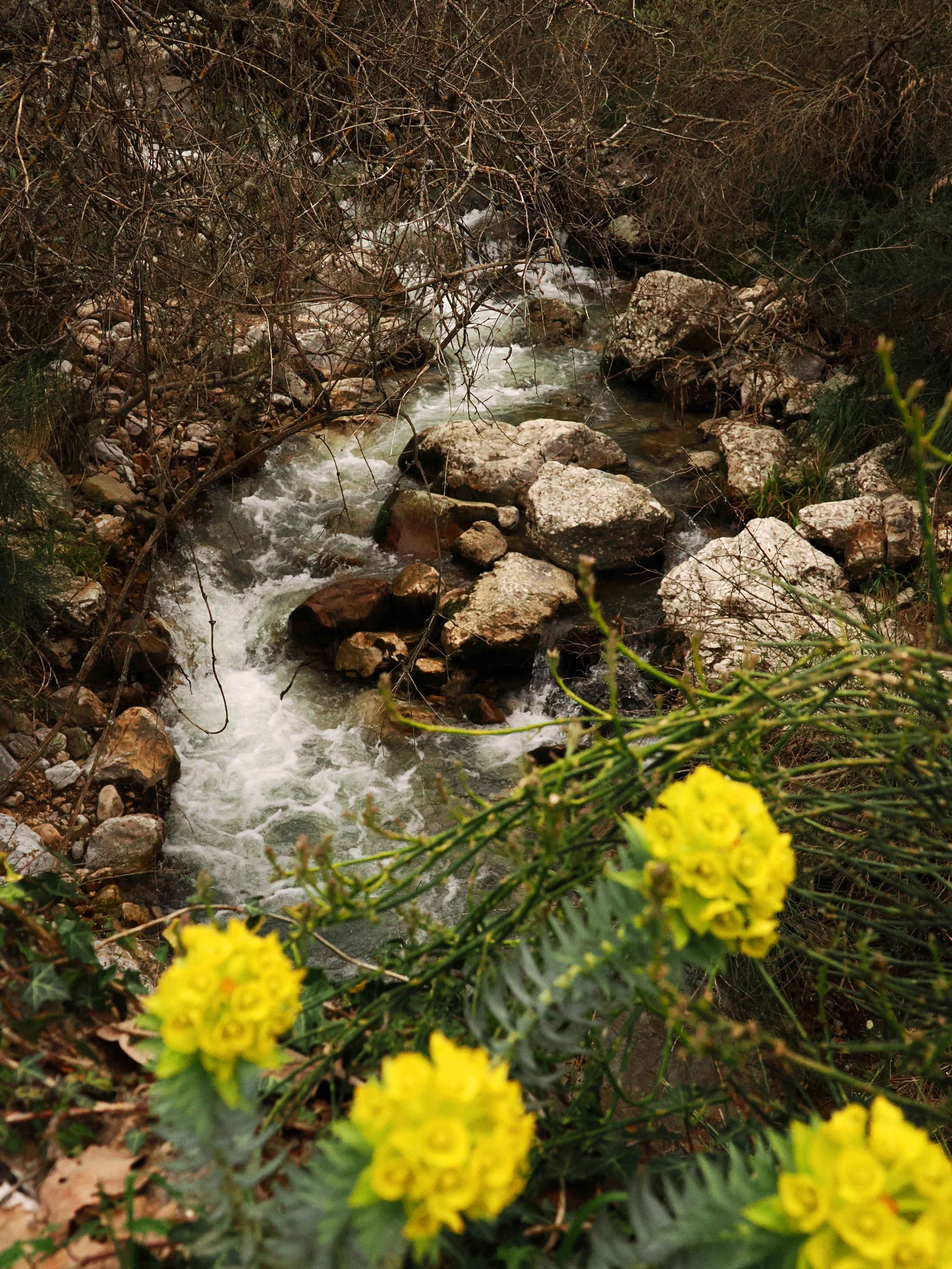 Dentro le Madonie con Matteo Orlando. Racconto visivo tra bellezza e mutamento