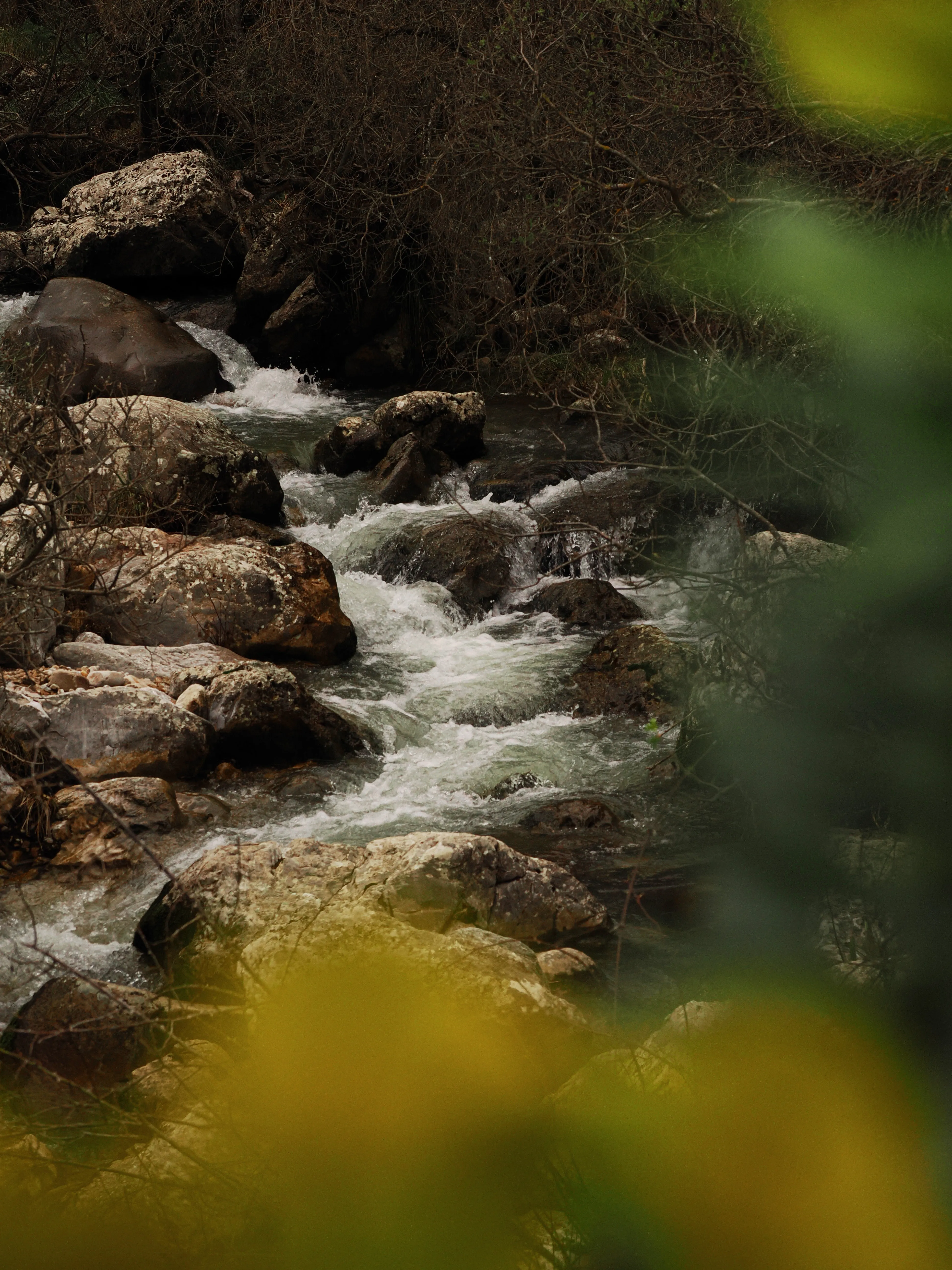 Dentro le Madonie con Matteo Orlando. Racconto visivo tra bellezza e mutamento
