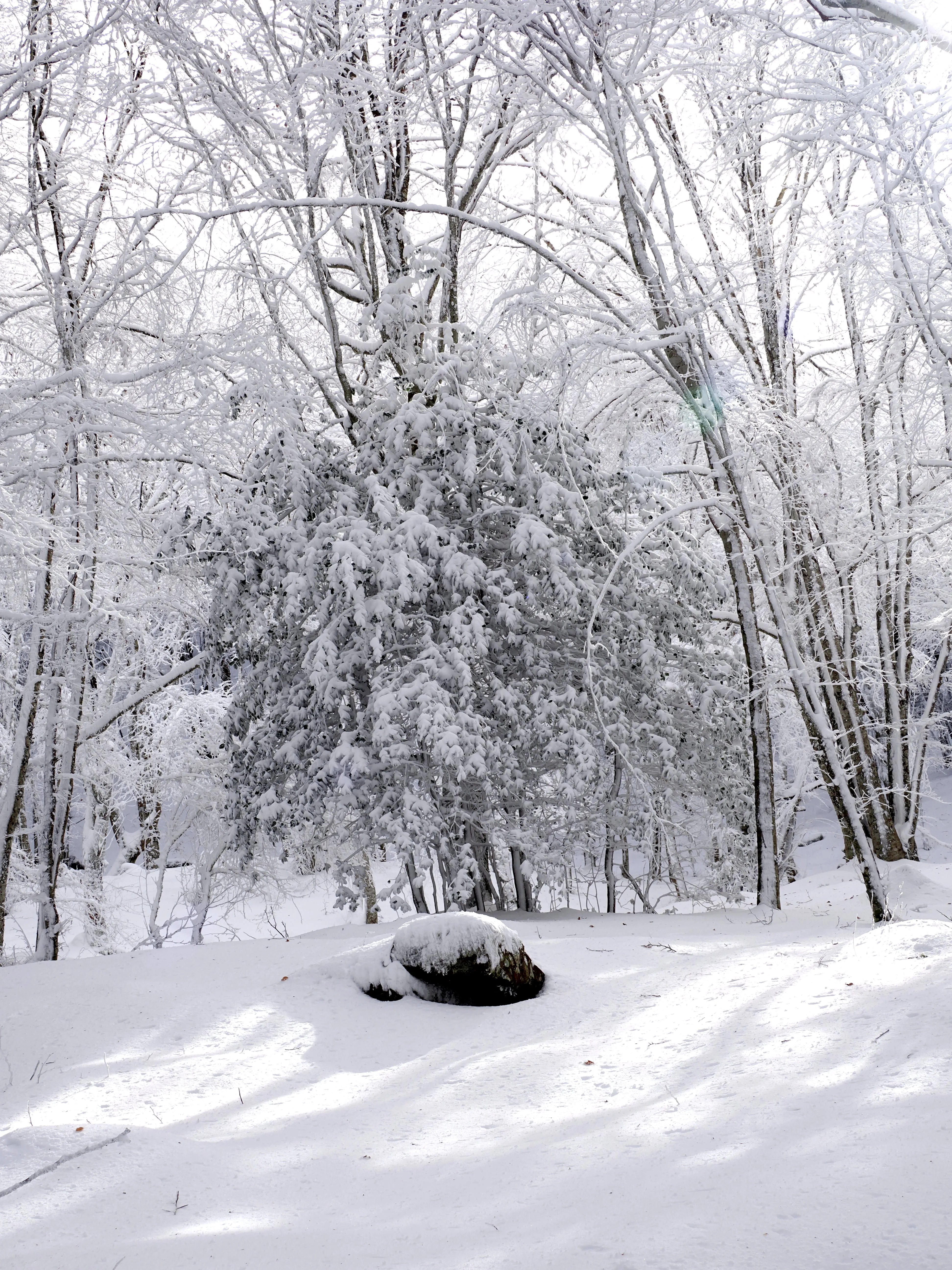Strati di neve e libertà