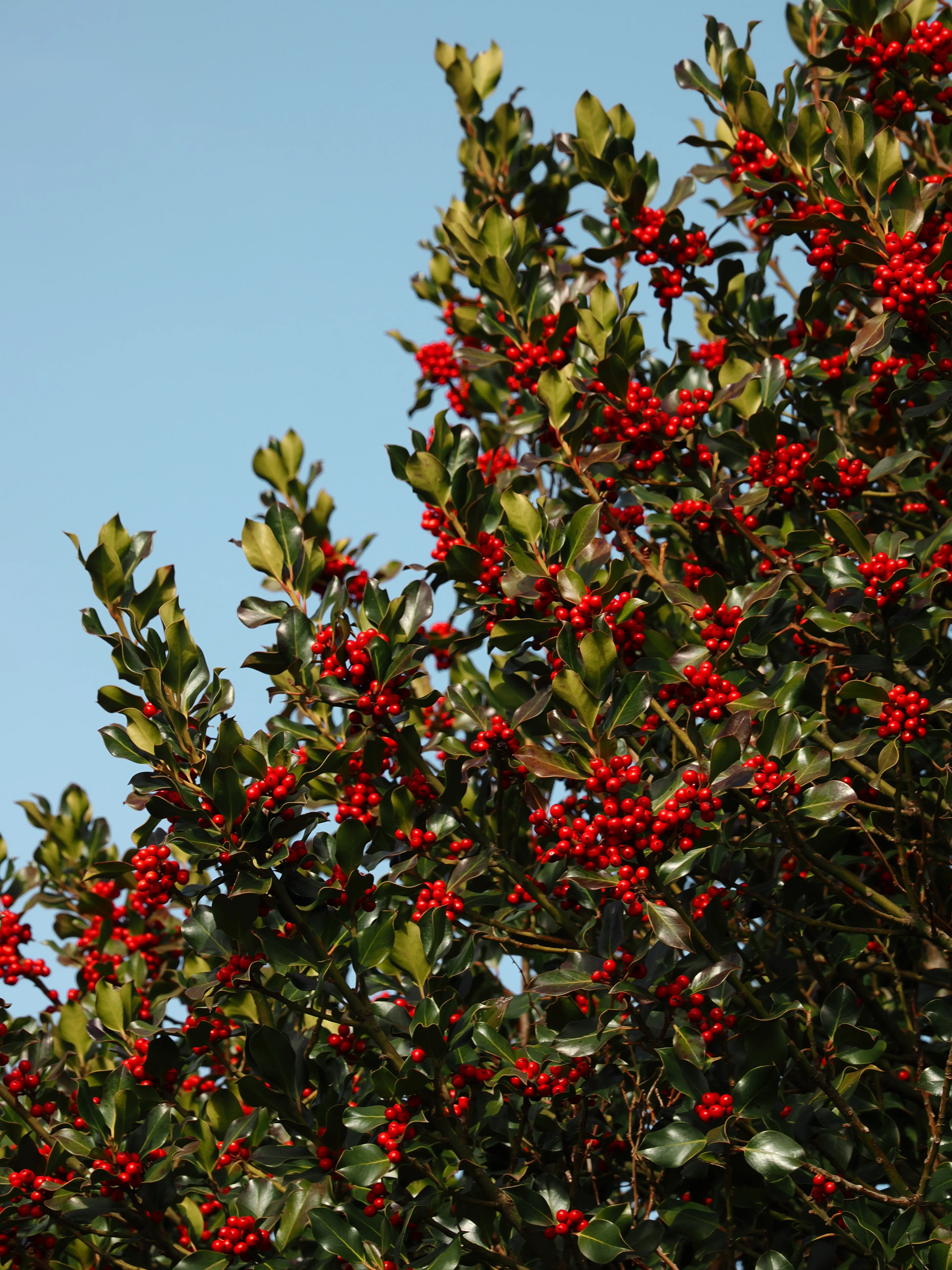 Dentro le Madonie con Matteo Orlando. Racconto visivo tra bellezza e mutamento