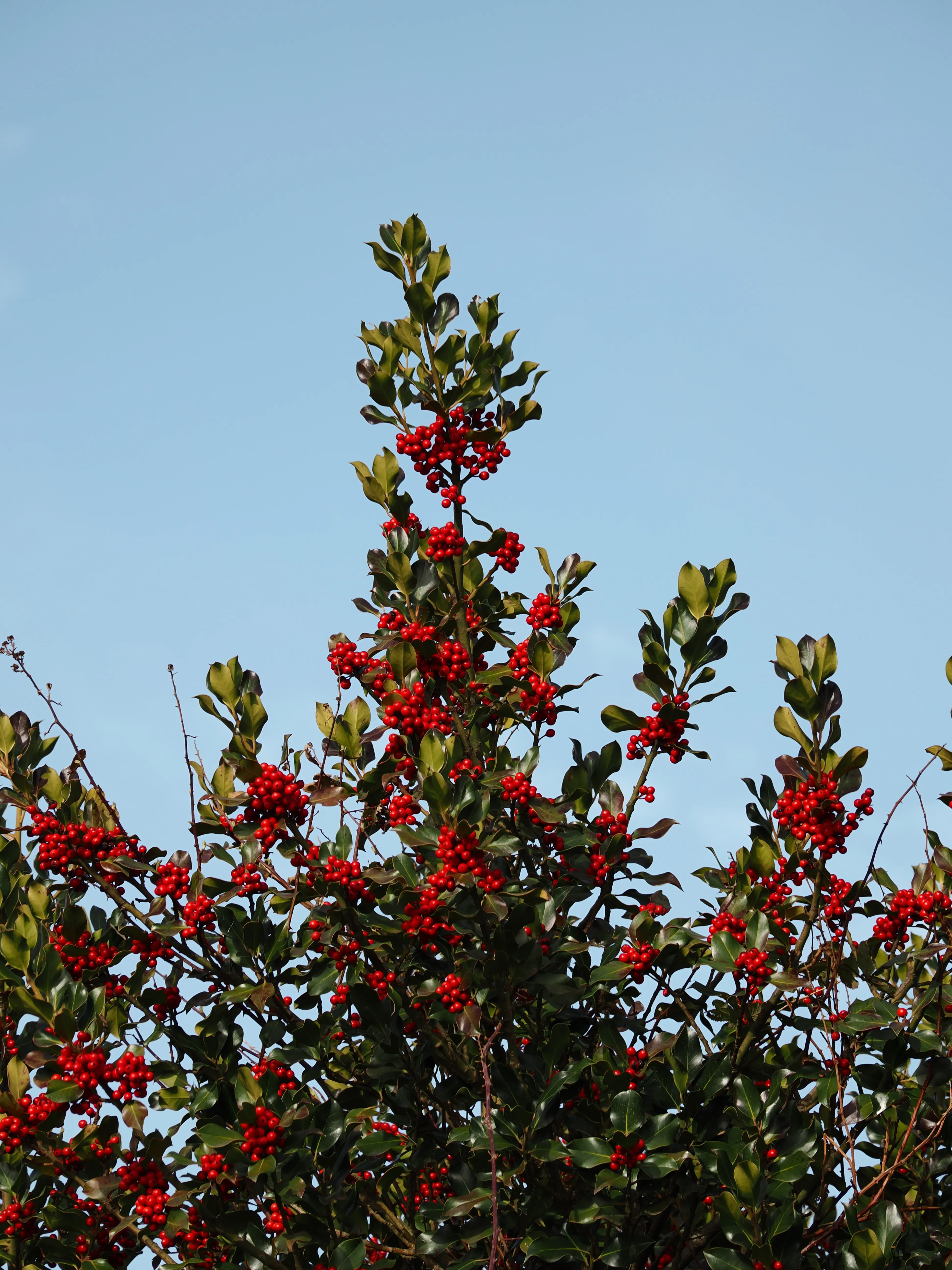 Dentro le Madonie con Matteo Orlando. Racconto visivo tra bellezza e mutamento