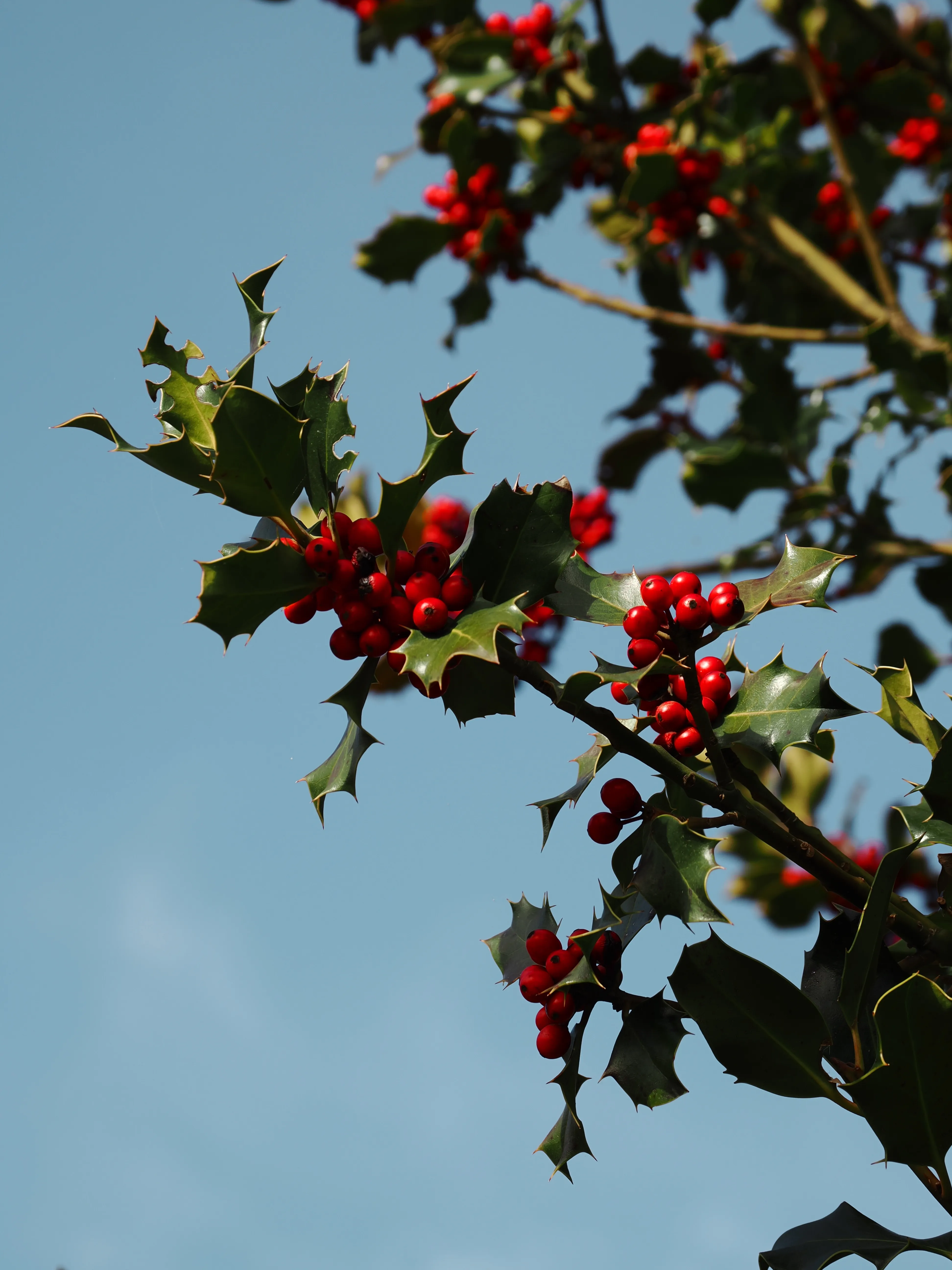 Dentro le Madonie con Matteo Orlando. Racconto visivo tra bellezza e mutamento