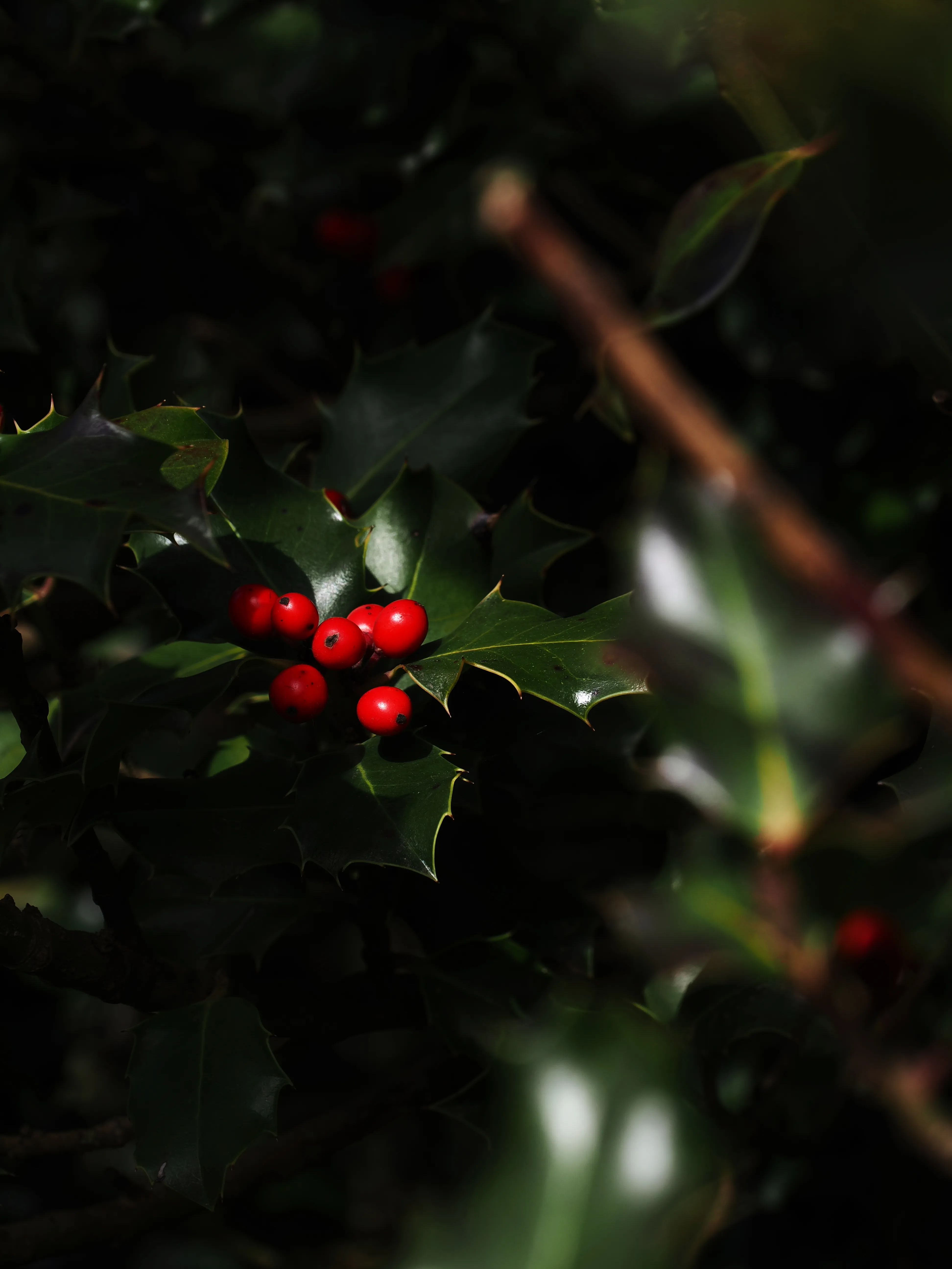 Dentro le Madonie con Matteo Orlando. Racconto visivo tra bellezza e mutamento