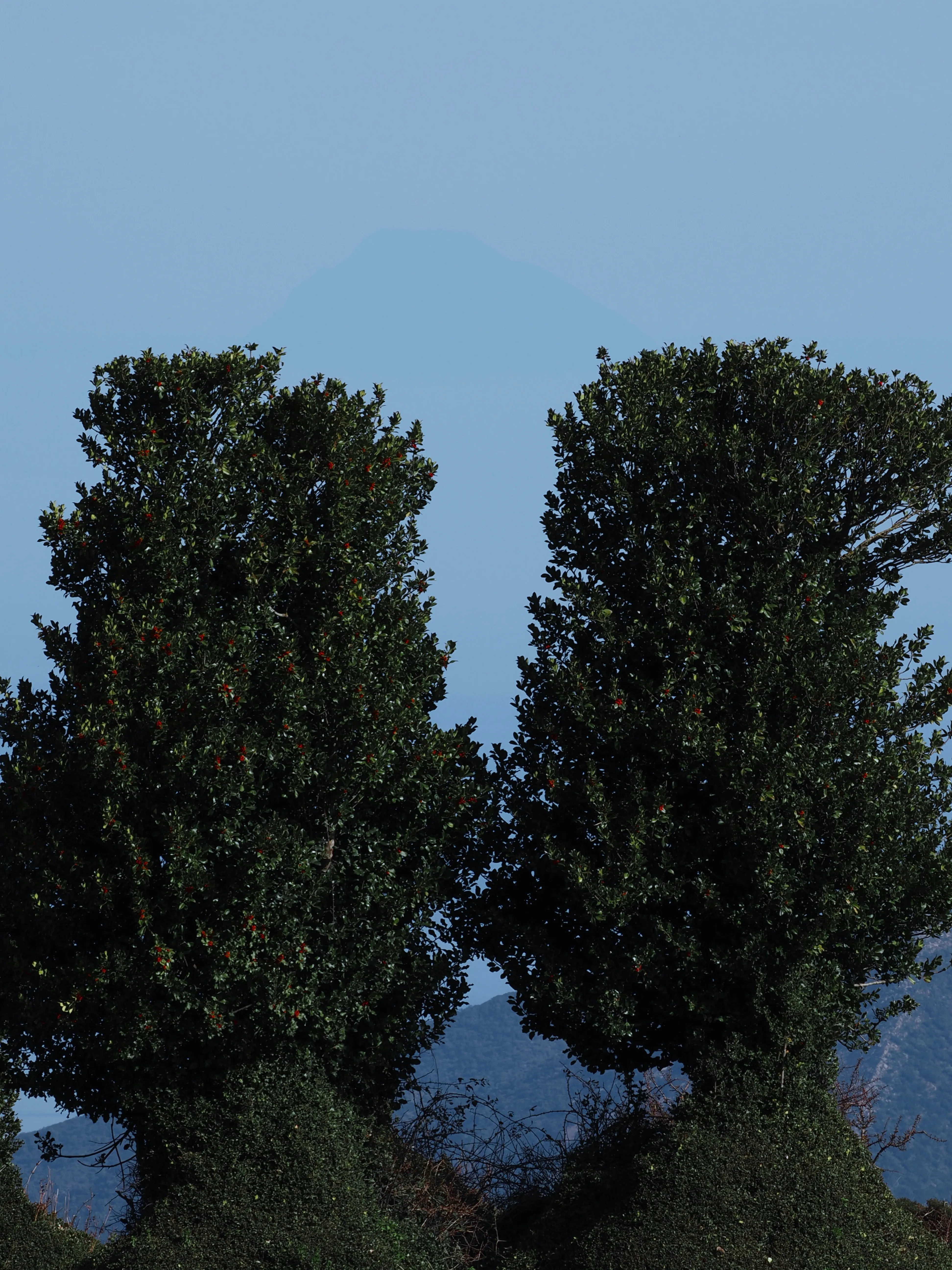 Dentro le Madonie con Matteo Orlando. Racconto visivo tra bellezza e mutamento