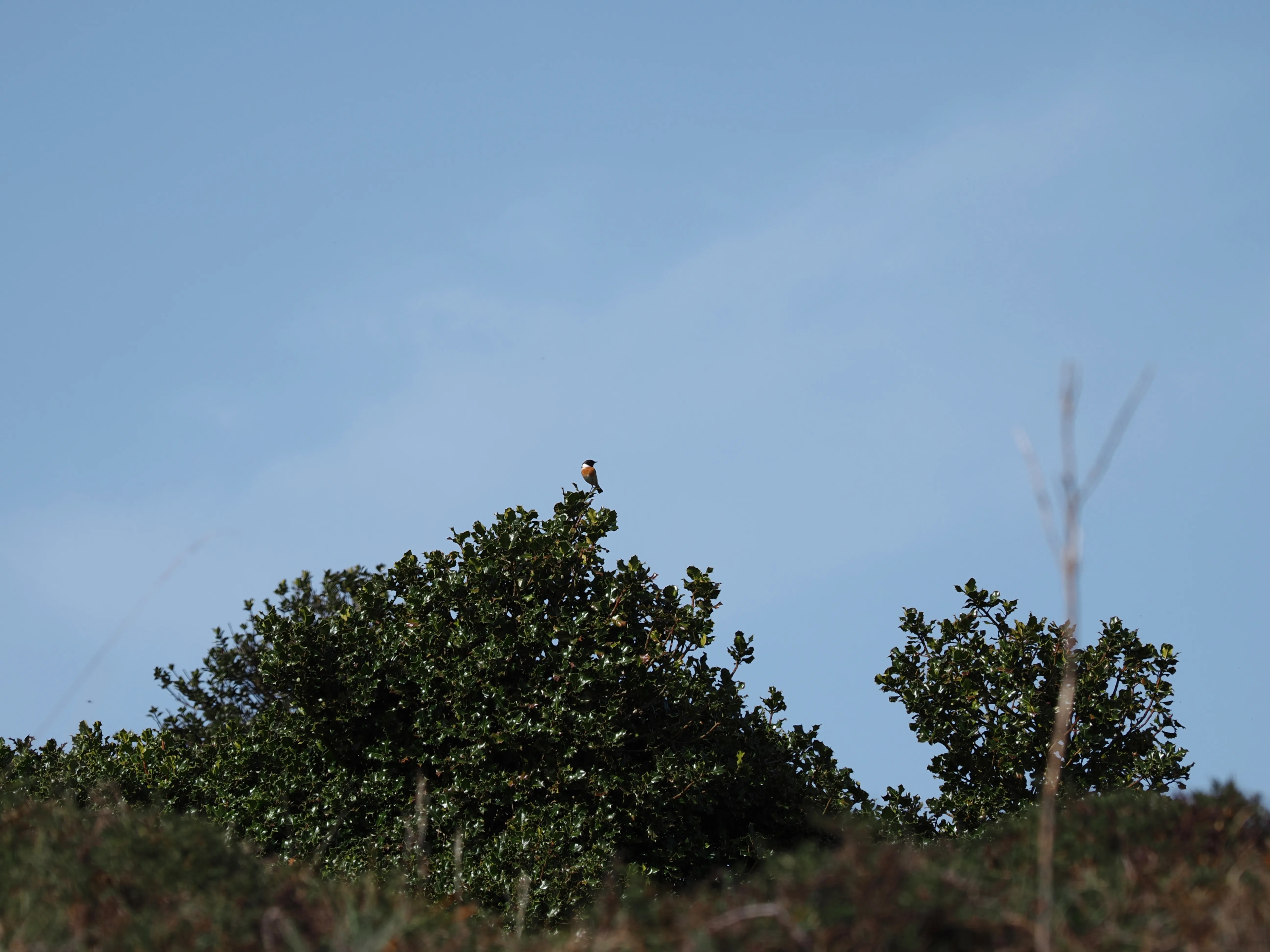 Dentro le Madonie con Matteo Orlando. Racconto visivo tra bellezza e mutamento