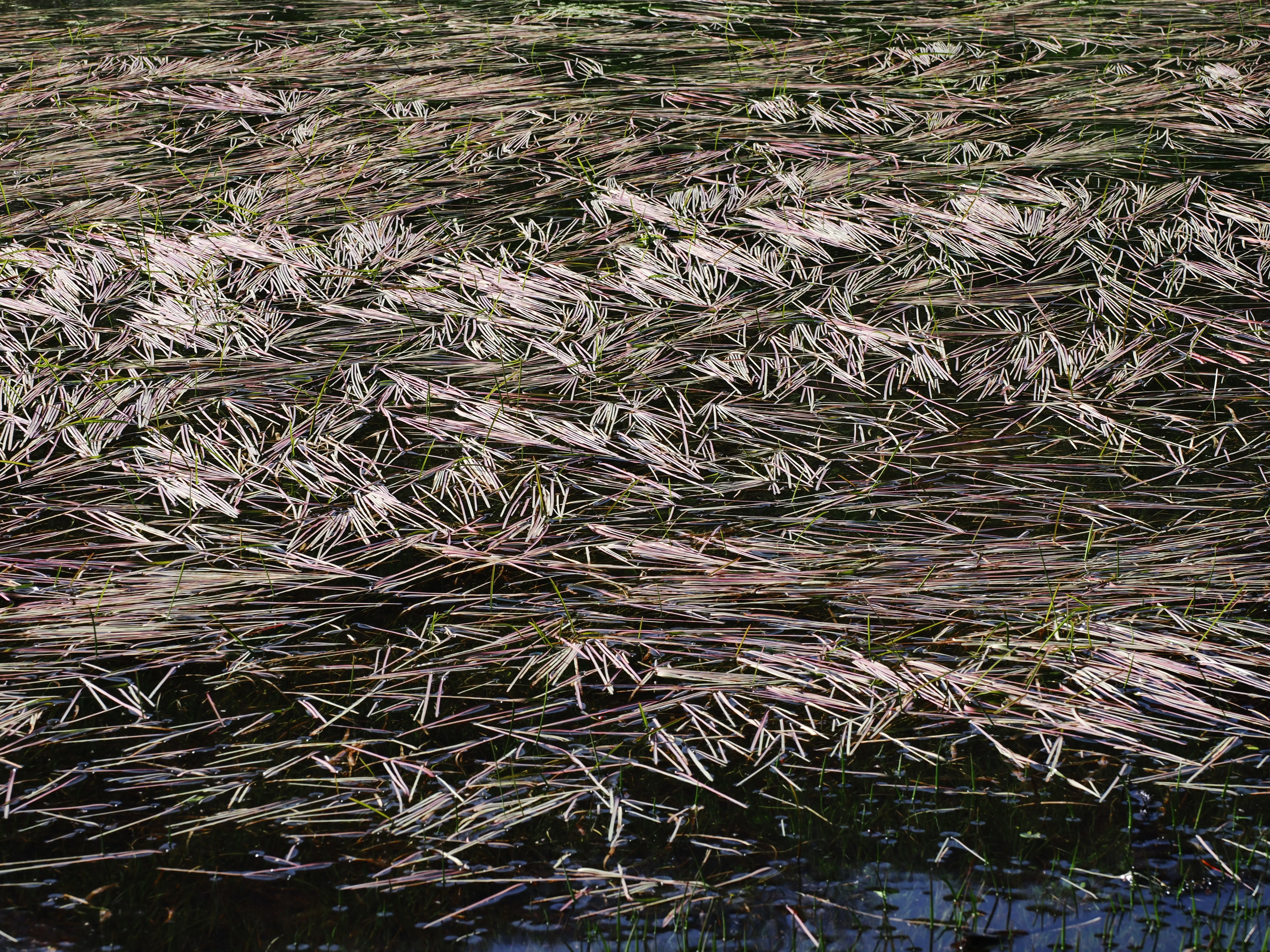 Dentro le Madonie con Matteo Orlando. Racconto visivo tra bellezza e mutamento