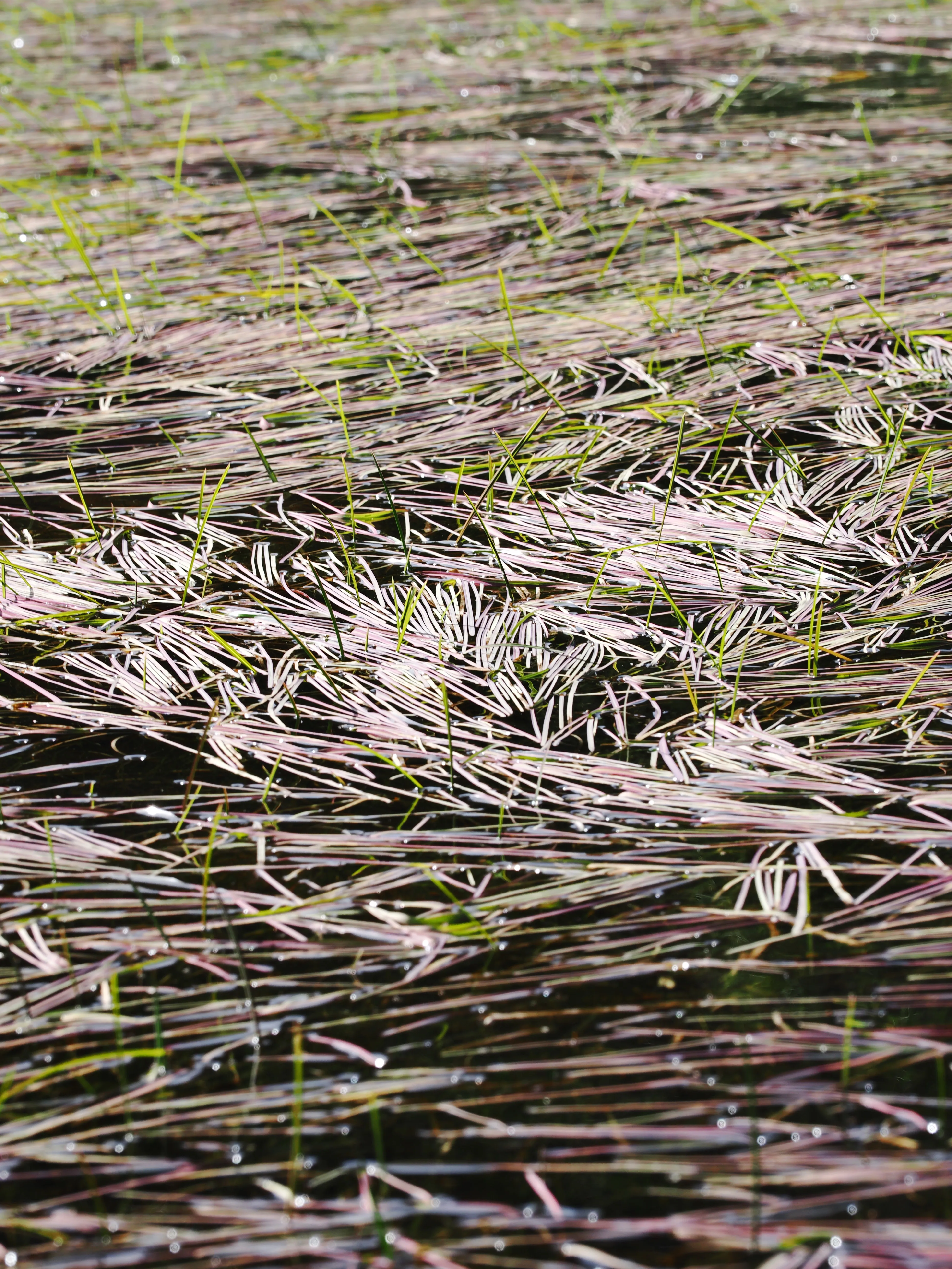 Dentro le Madonie con Matteo Orlando. Racconto visivo tra bellezza e mutamento