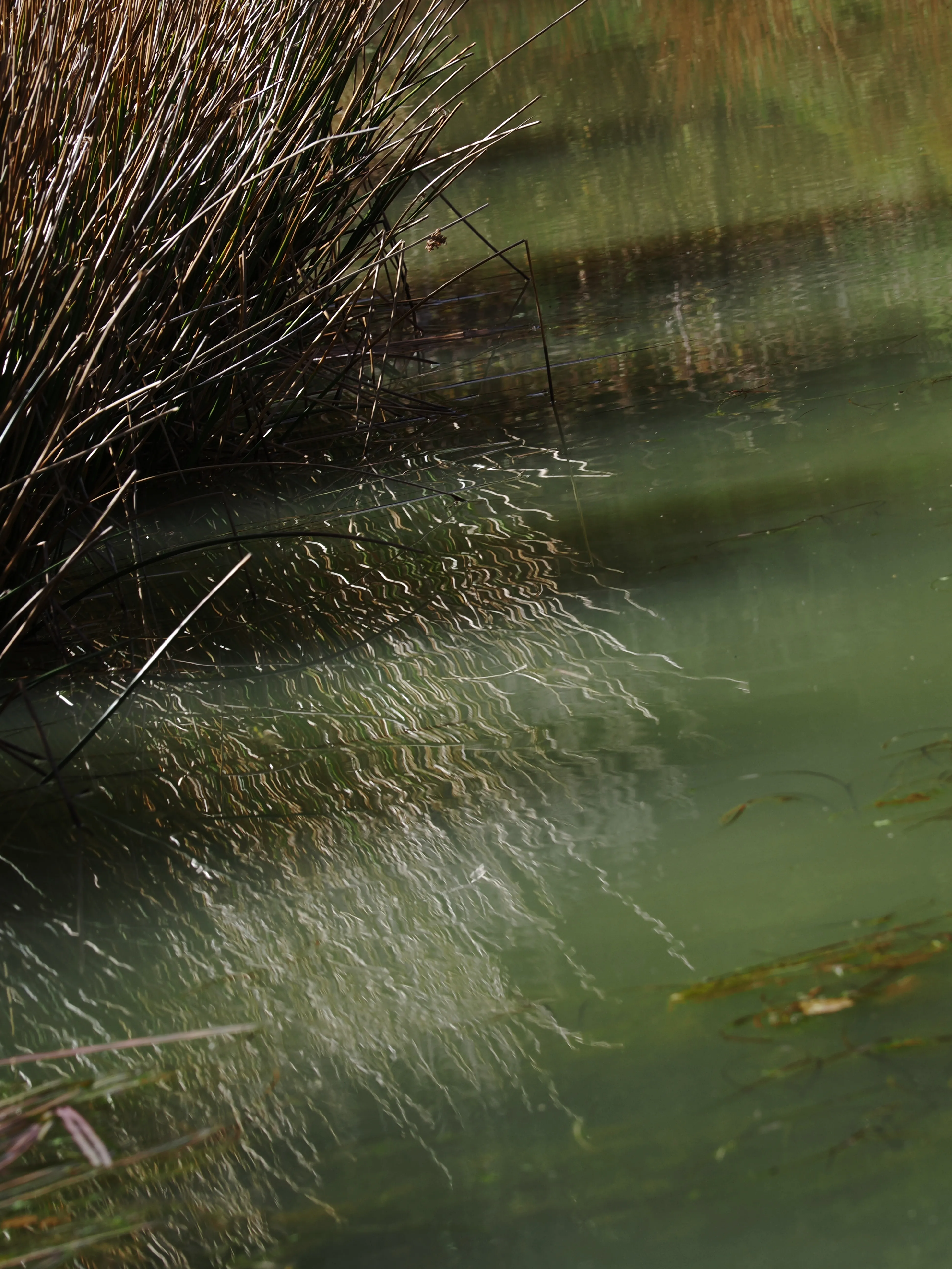 Dentro le Madonie con Matteo Orlando. Racconto visivo tra bellezza e mutamento