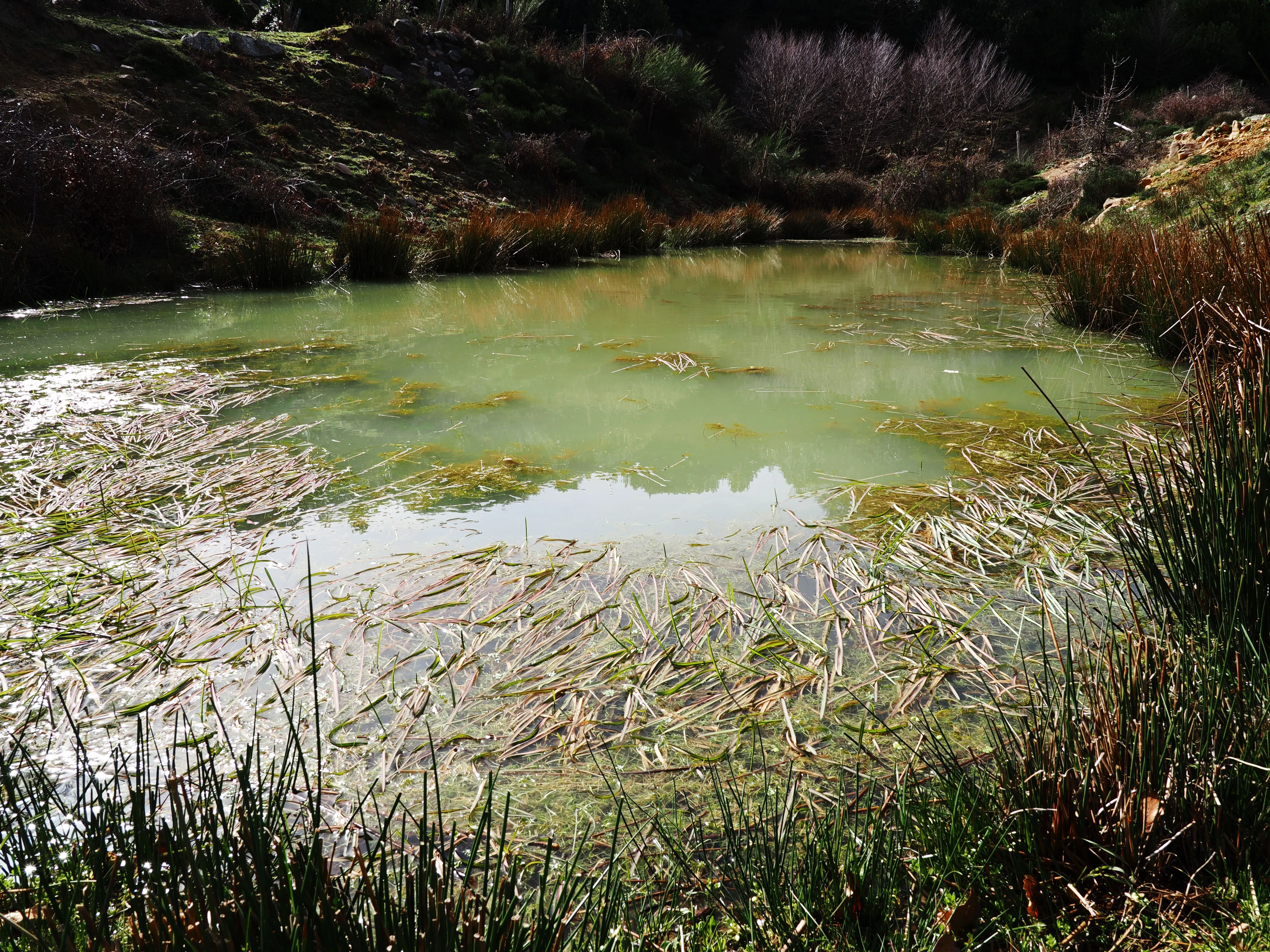 Dentro le Madonie con Matteo Orlando. Racconto visivo tra bellezza e mutamento