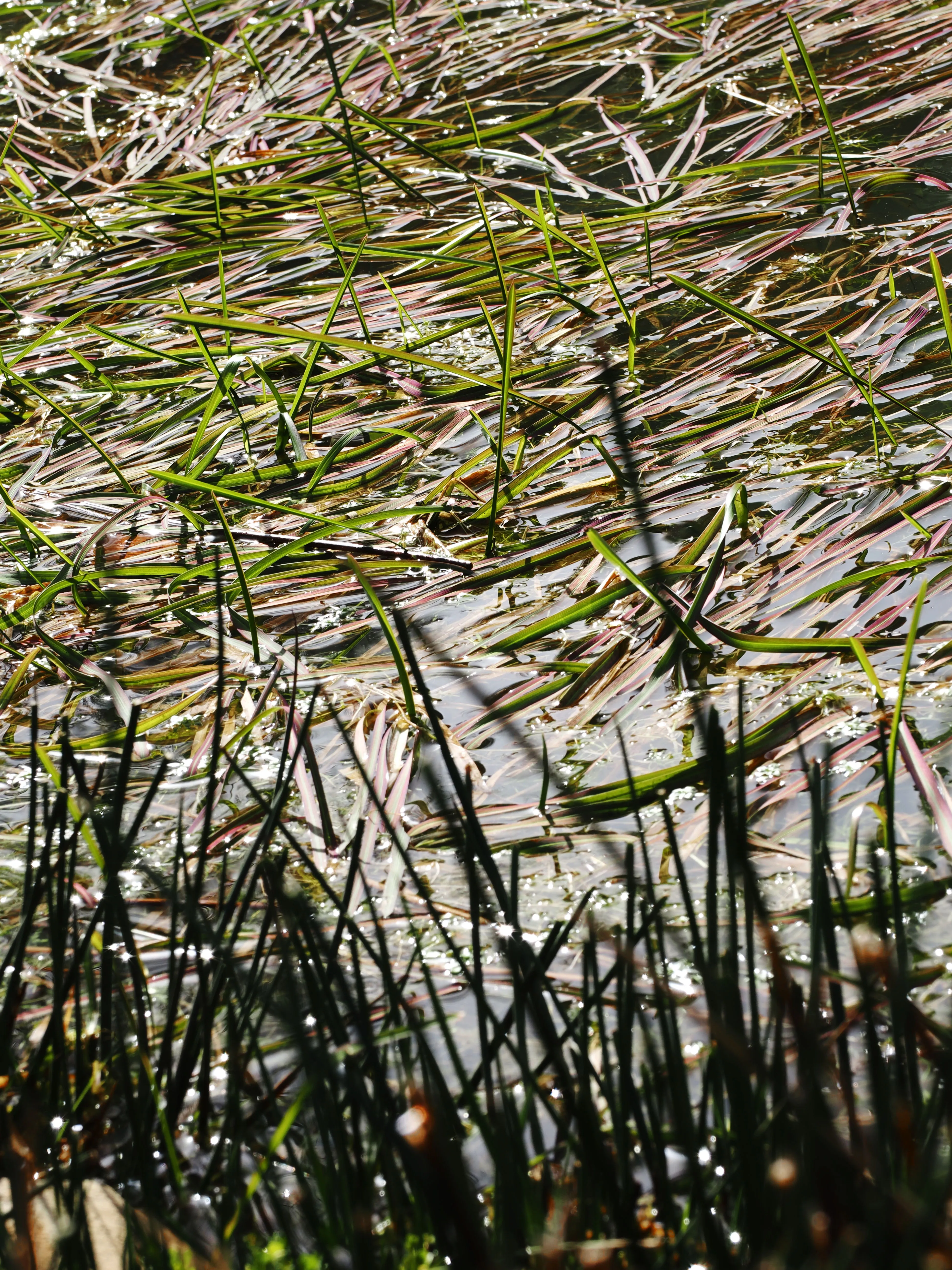 Dentro le Madonie con Matteo Orlando. Racconto visivo tra bellezza e mutamento