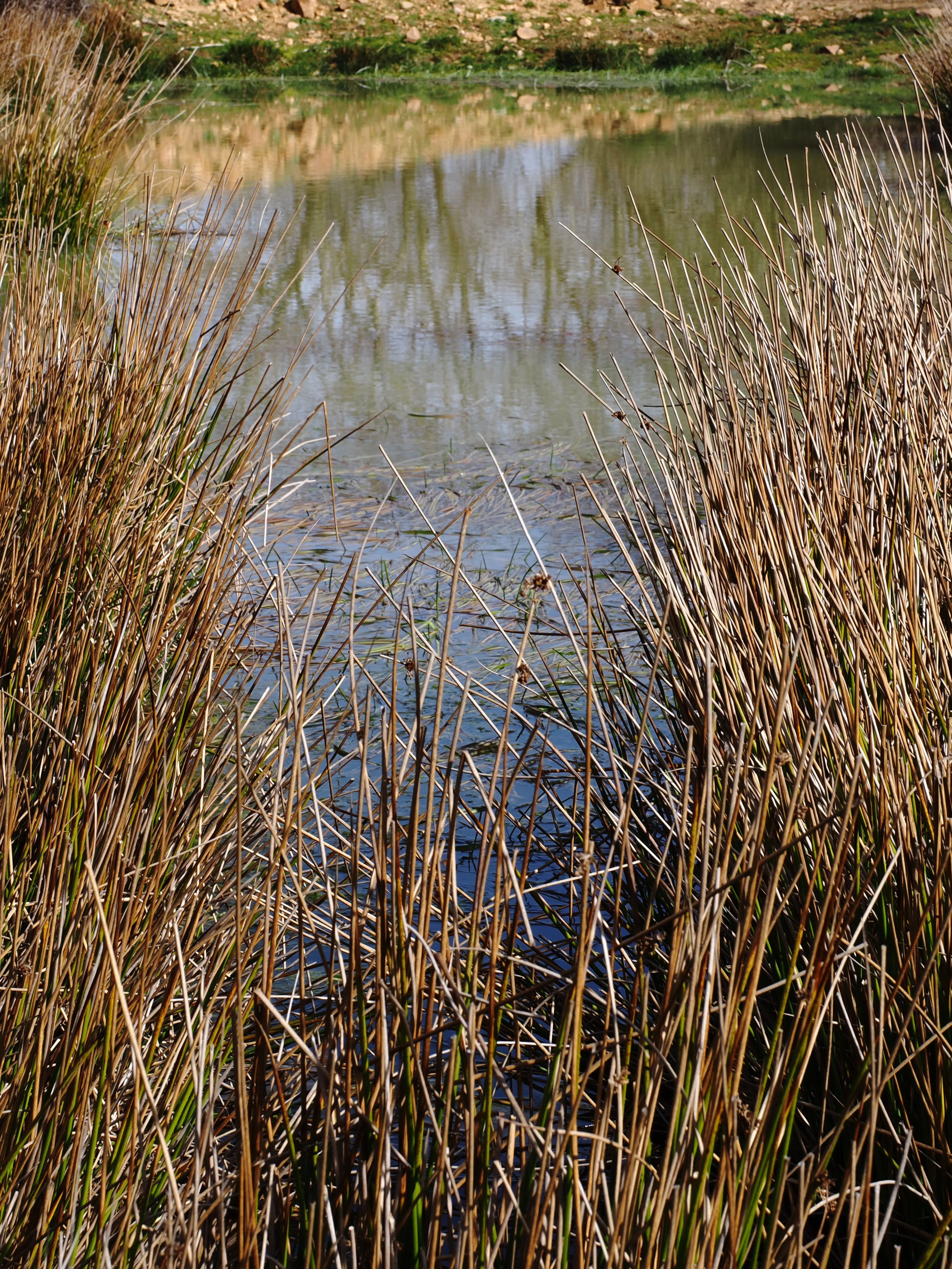 Dentro le Madonie con Matteo Orlando. Racconto visivo tra bellezza e mutamento