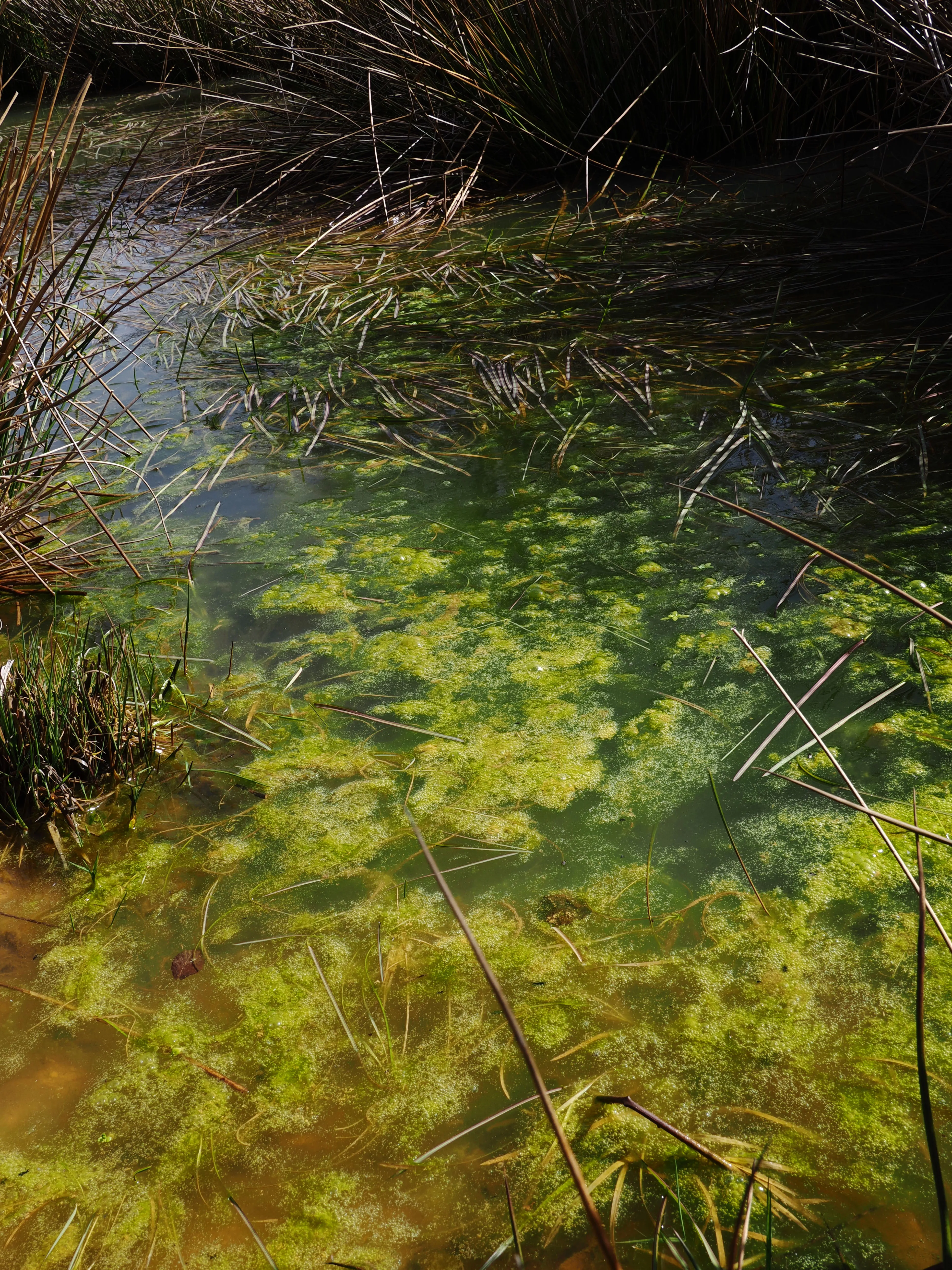 Dentro le Madonie con Matteo Orlando. Racconto visivo tra bellezza e mutamento