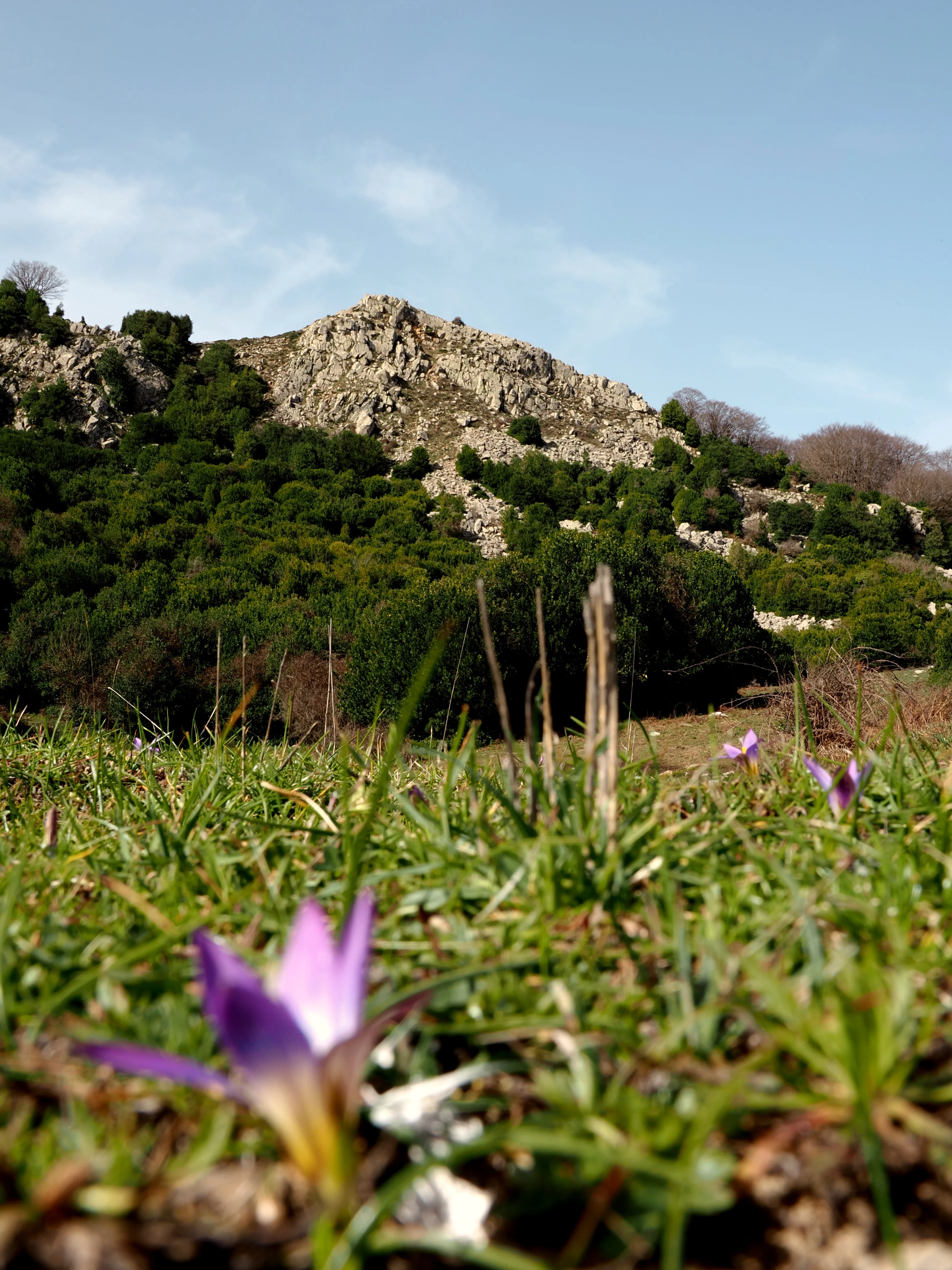 Dentro le Madonie con Matteo Orlando. Racconto visivo tra bellezza e mutamento