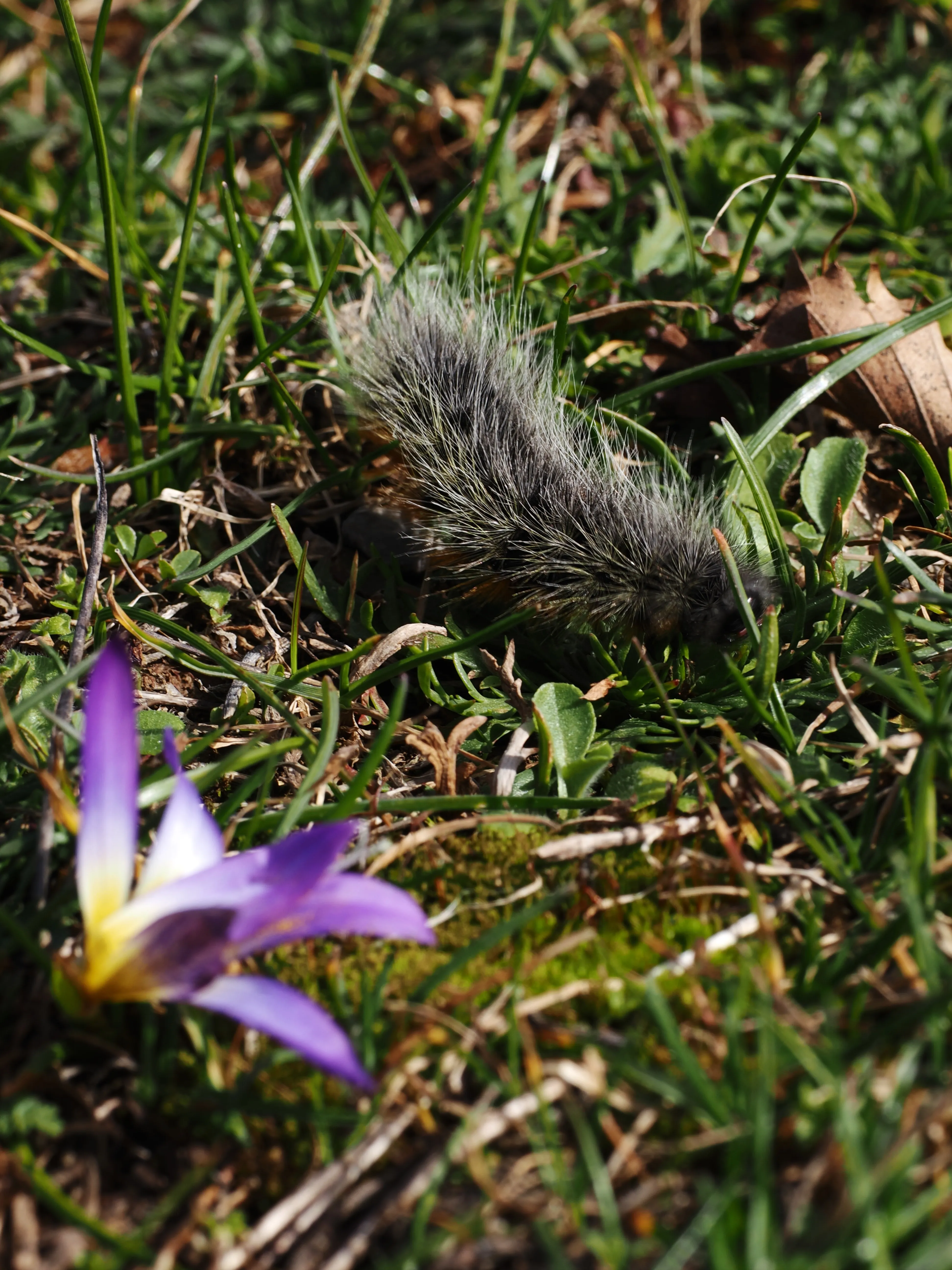Dentro le Madonie con Matteo Orlando. Racconto visivo tra bellezza e mutamento