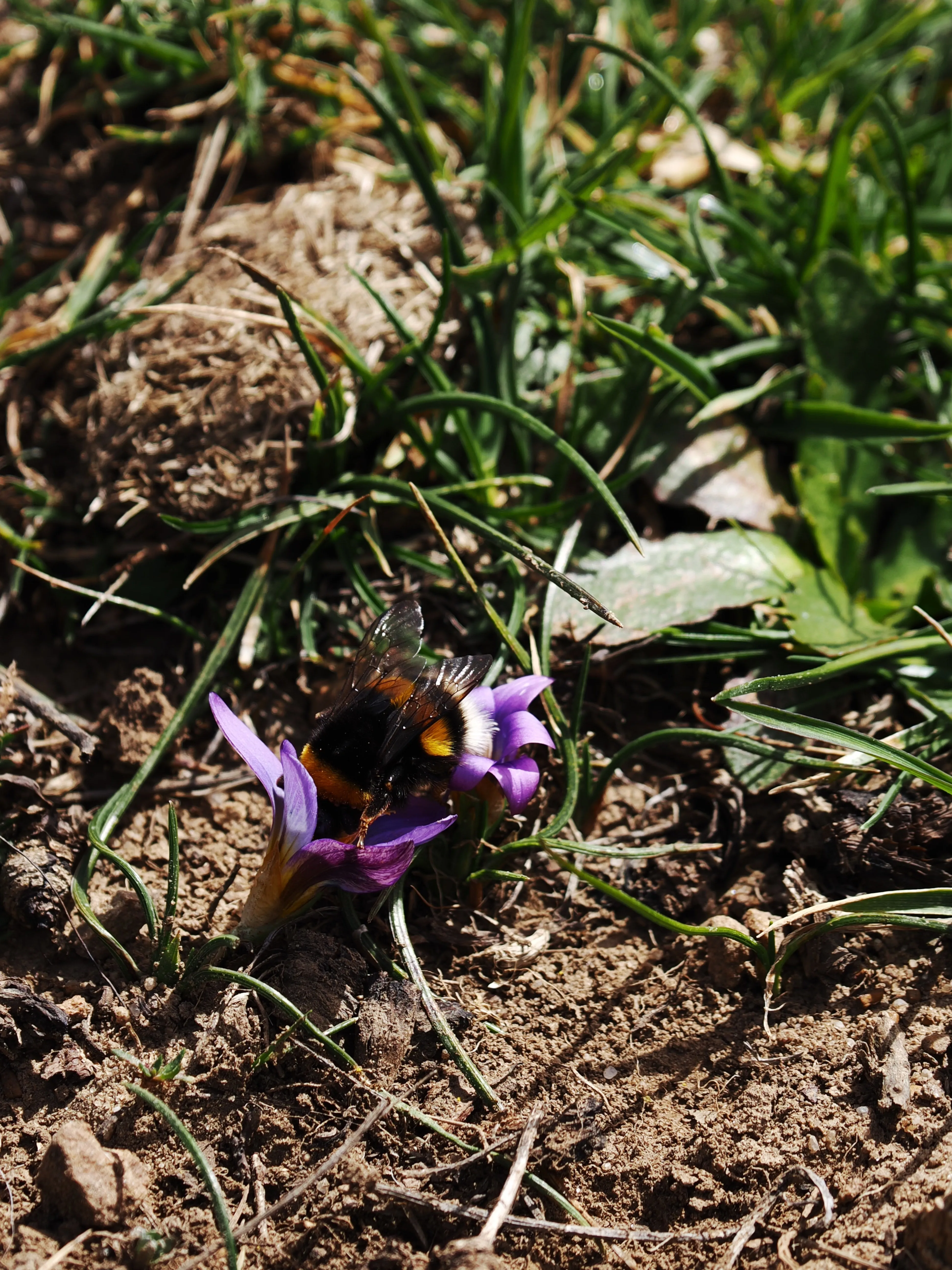 Dentro le Madonie con Matteo Orlando. Racconto visivo tra bellezza e mutamento