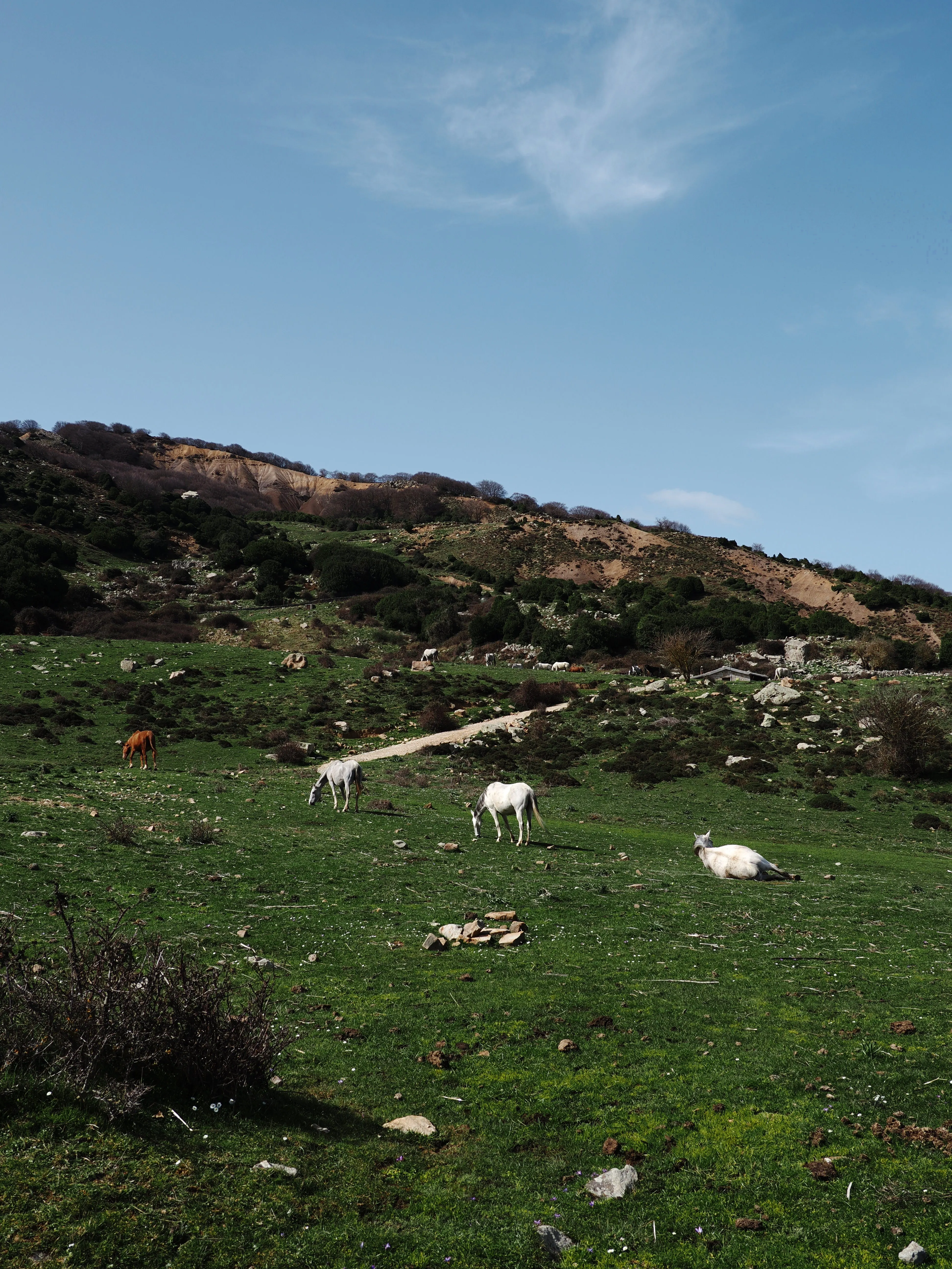 Dentro le Madonie con Matteo Orlando. Racconto visivo tra bellezza e mutamento