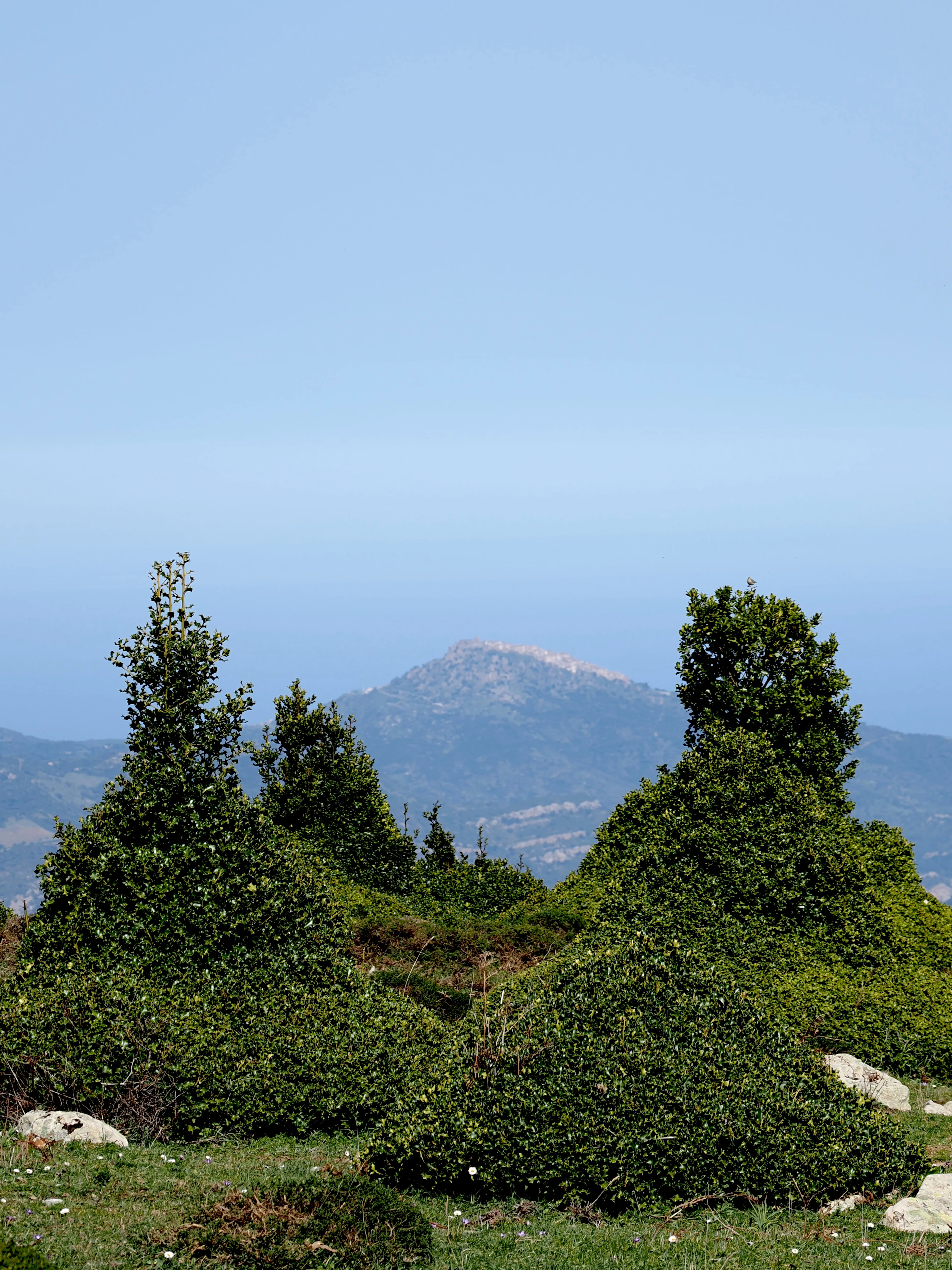 Dentro le Madonie con Matteo Orlando. Racconto visivo tra bellezza e mutamento