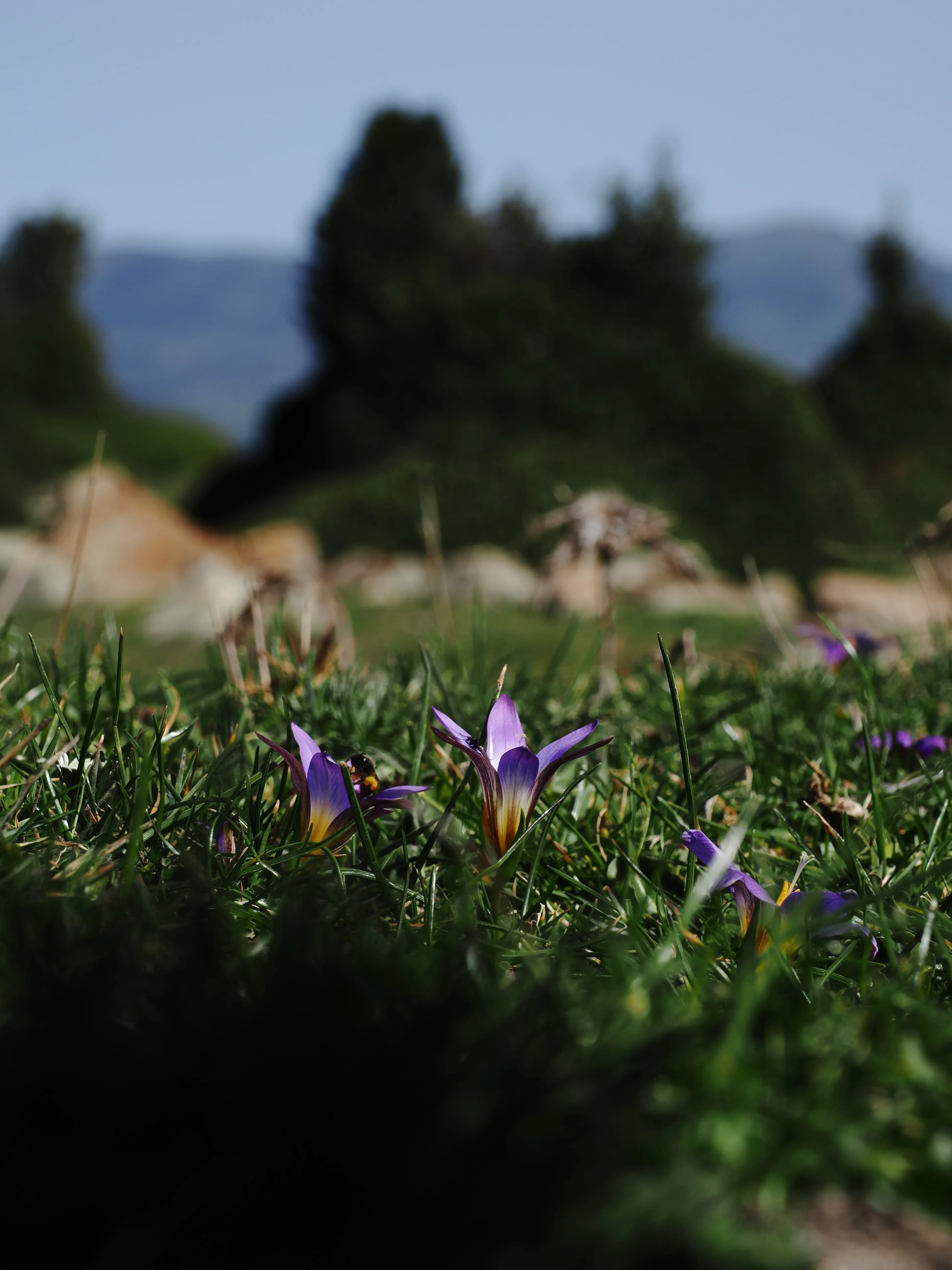 Dentro le Madonie con Matteo Orlando. Racconto visivo tra bellezza e mutamento