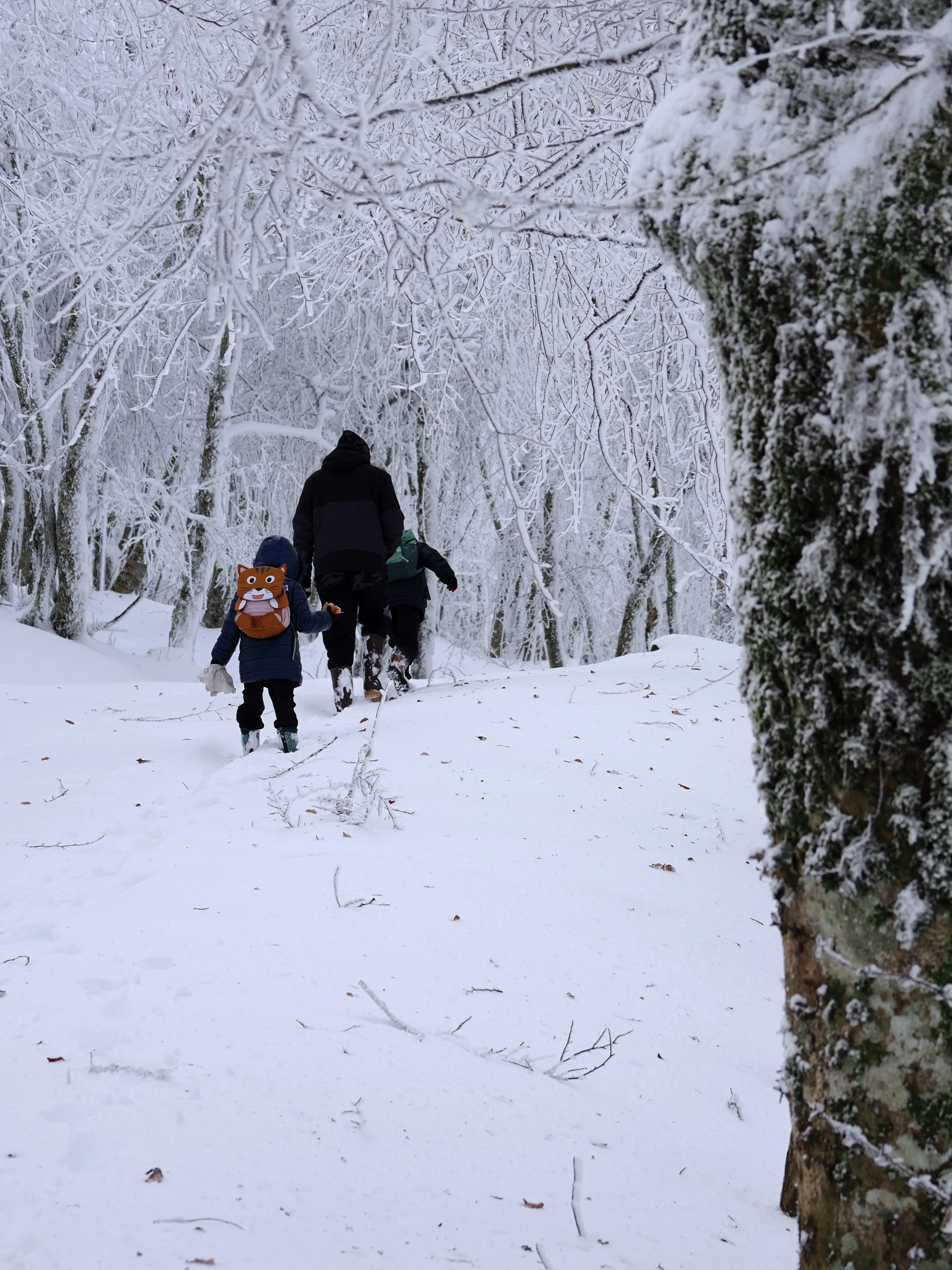 Strati di neve e libertà