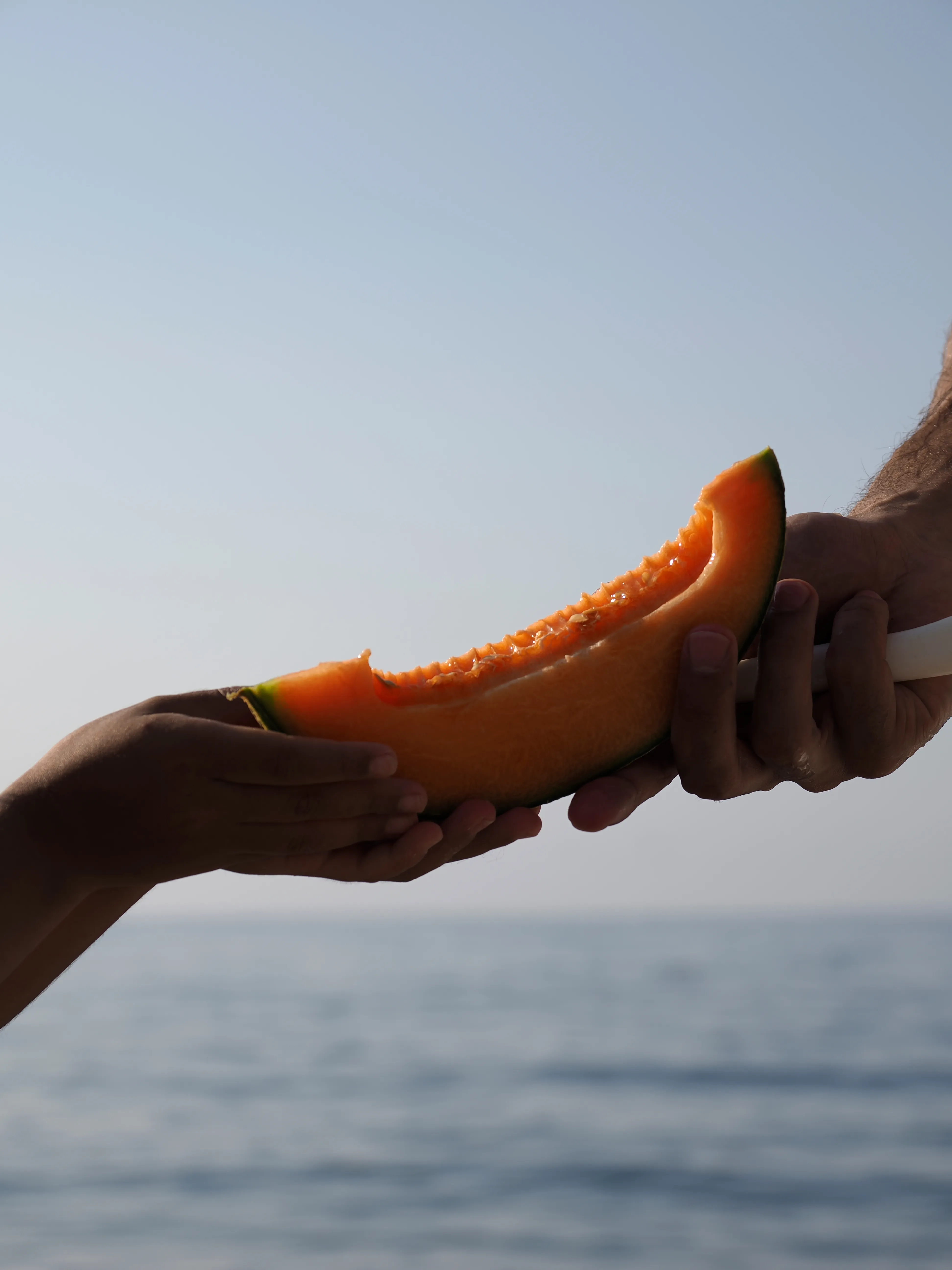 Il succo di un'estate.