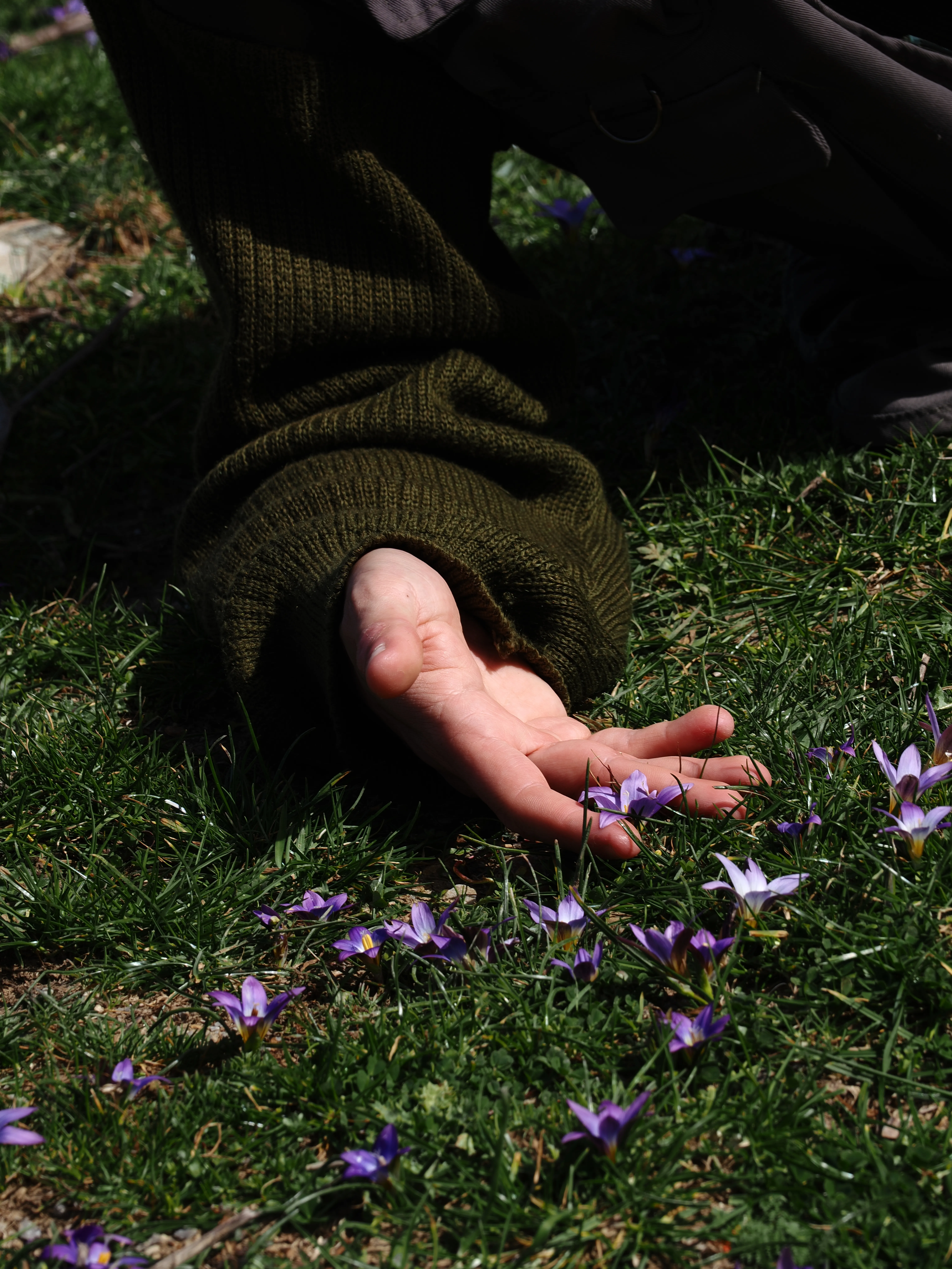 Dentro le Madonie con Matteo Orlando. Racconto visivo tra bellezza e mutamento