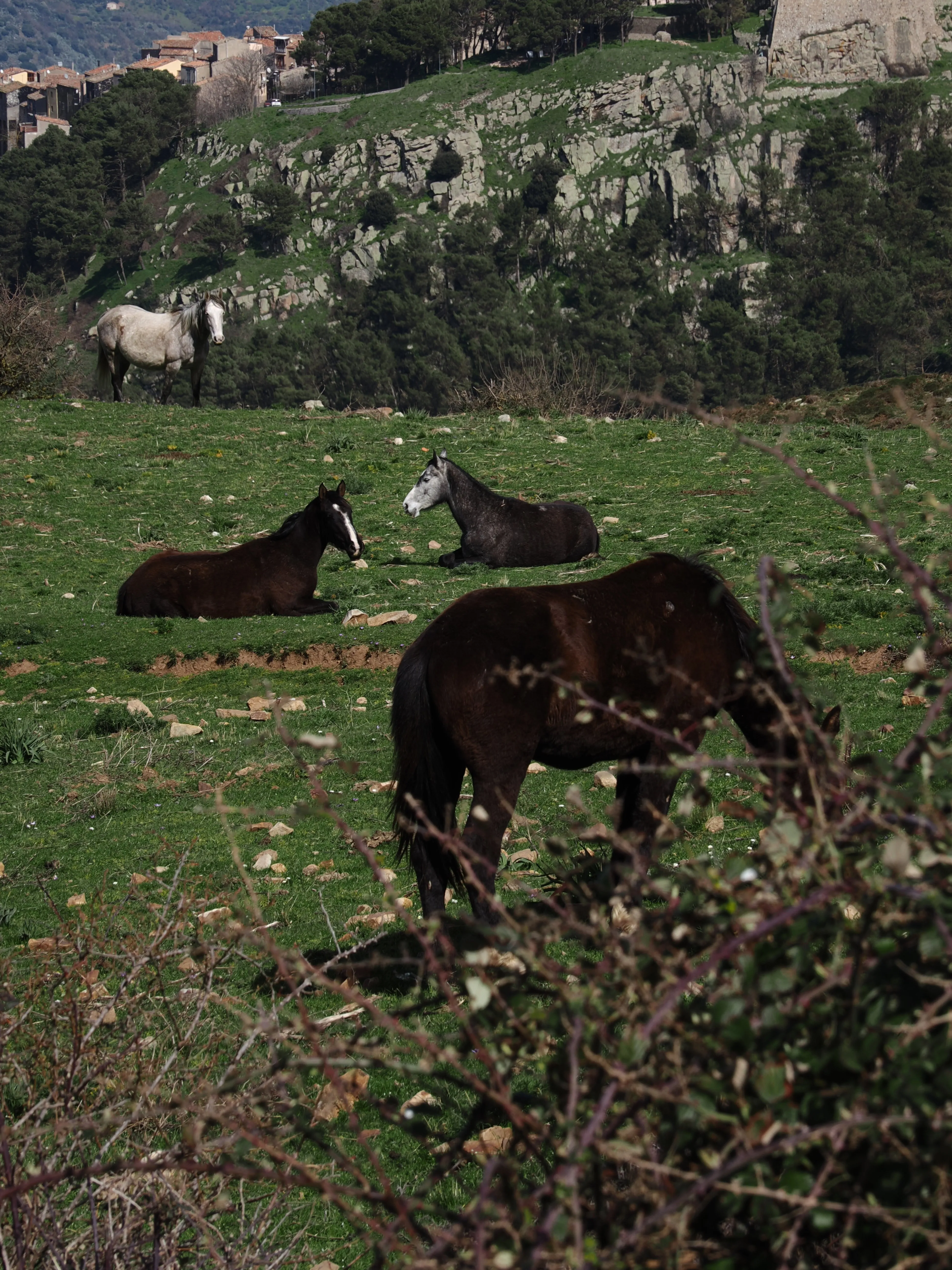 Dentro le Madonie con Matteo Orlando. Racconto visivo tra bellezza e mutamento