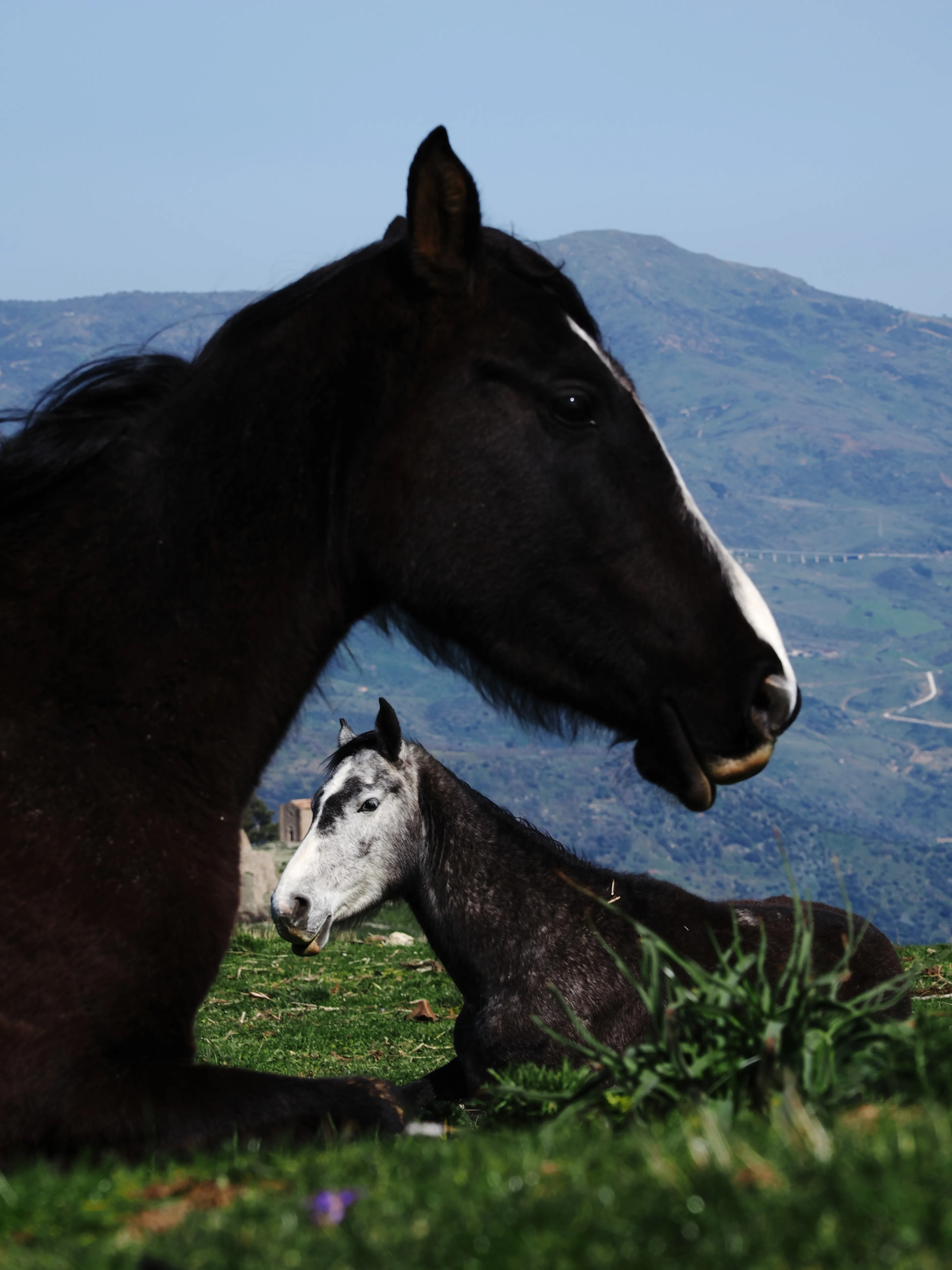 Dentro le Madonie con Matteo Orlando. Racconto visivo tra bellezza e mutamento