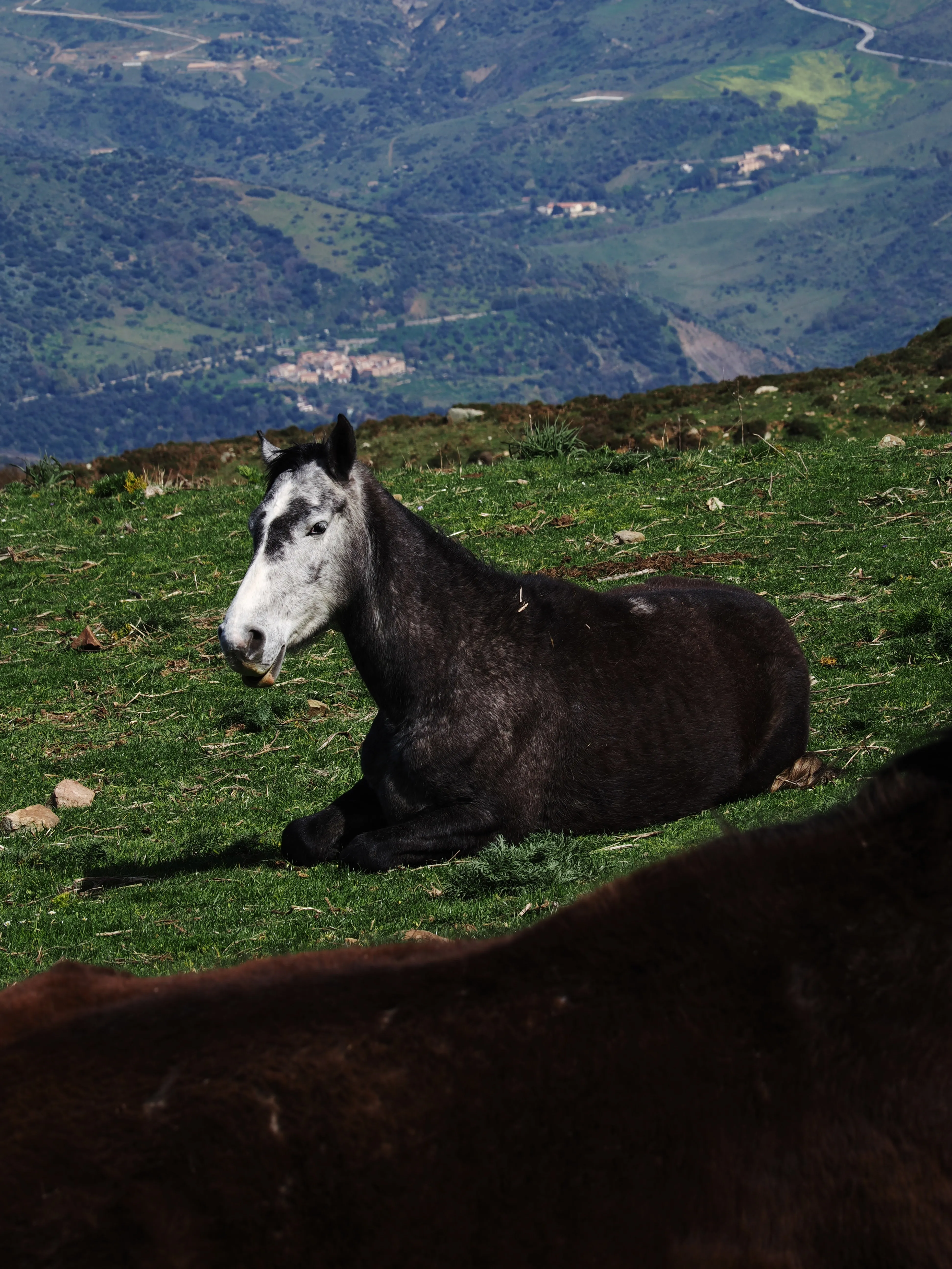 Dentro le Madonie con Matteo Orlando. Racconto visivo tra bellezza e mutamento