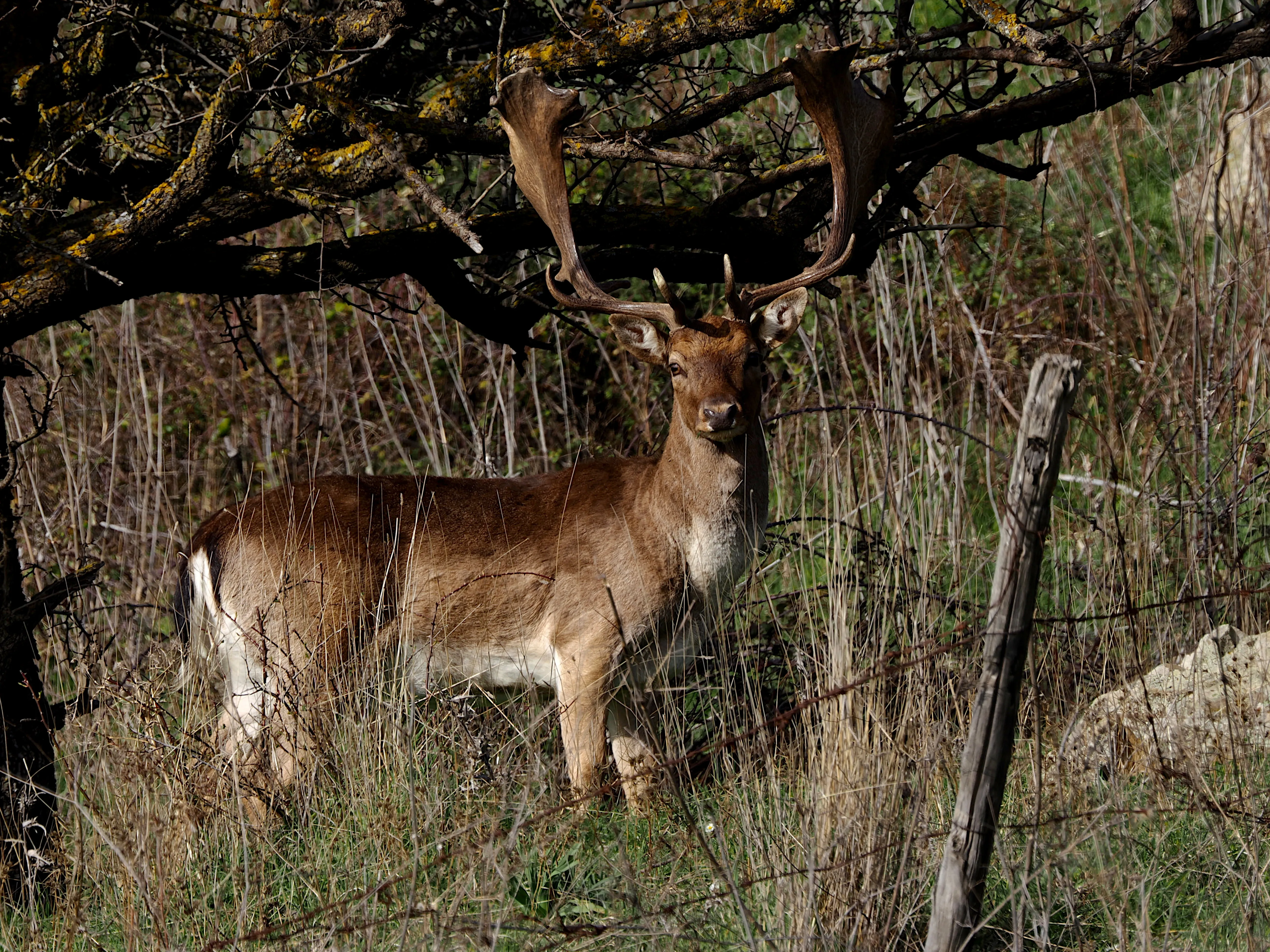 Dentro le Madonie con Matteo Orlando. Racconto visivo tra bellezza e mutamento