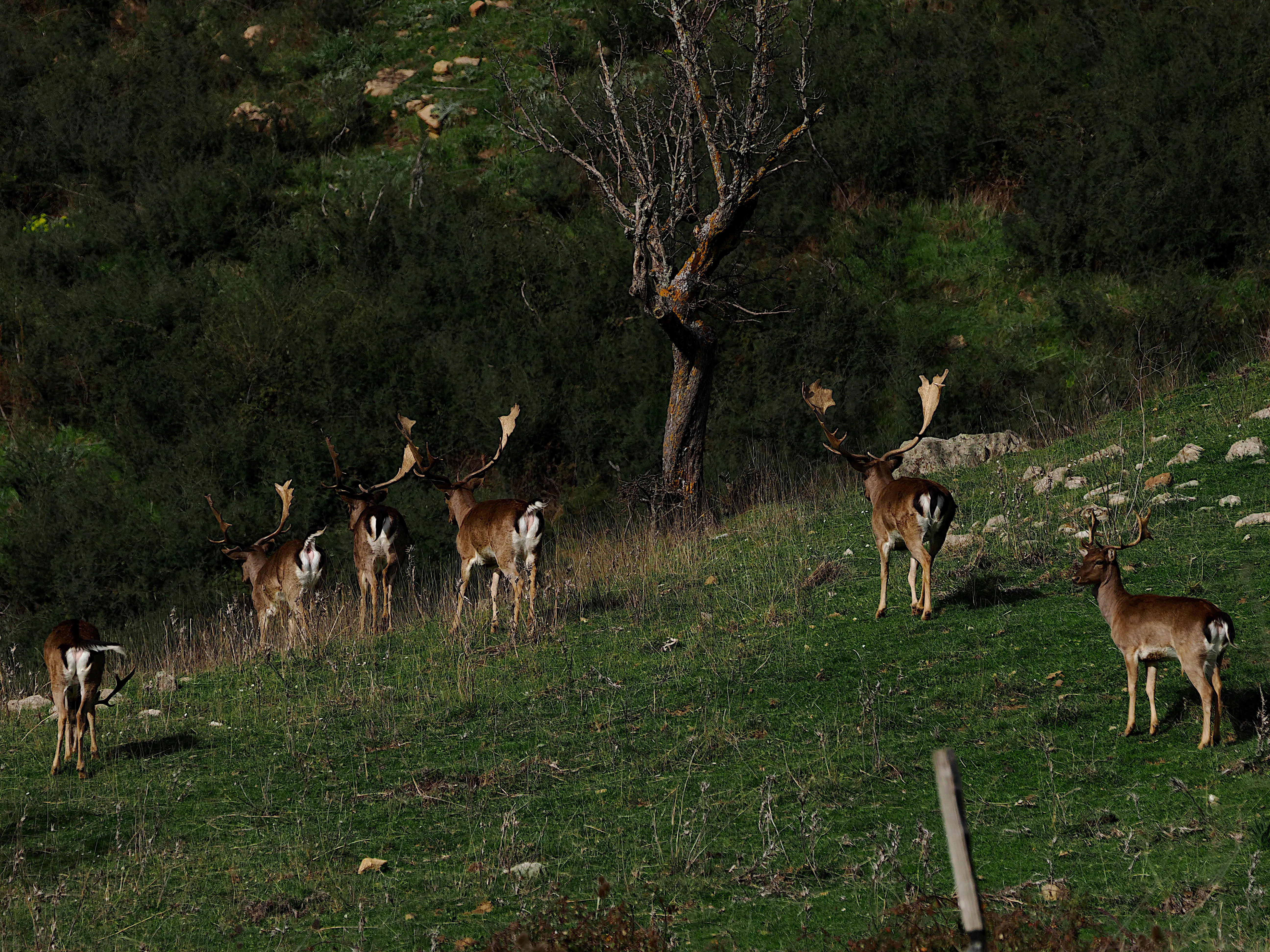 Dentro le Madonie con Matteo Orlando. Racconto visivo tra bellezza e mutamento