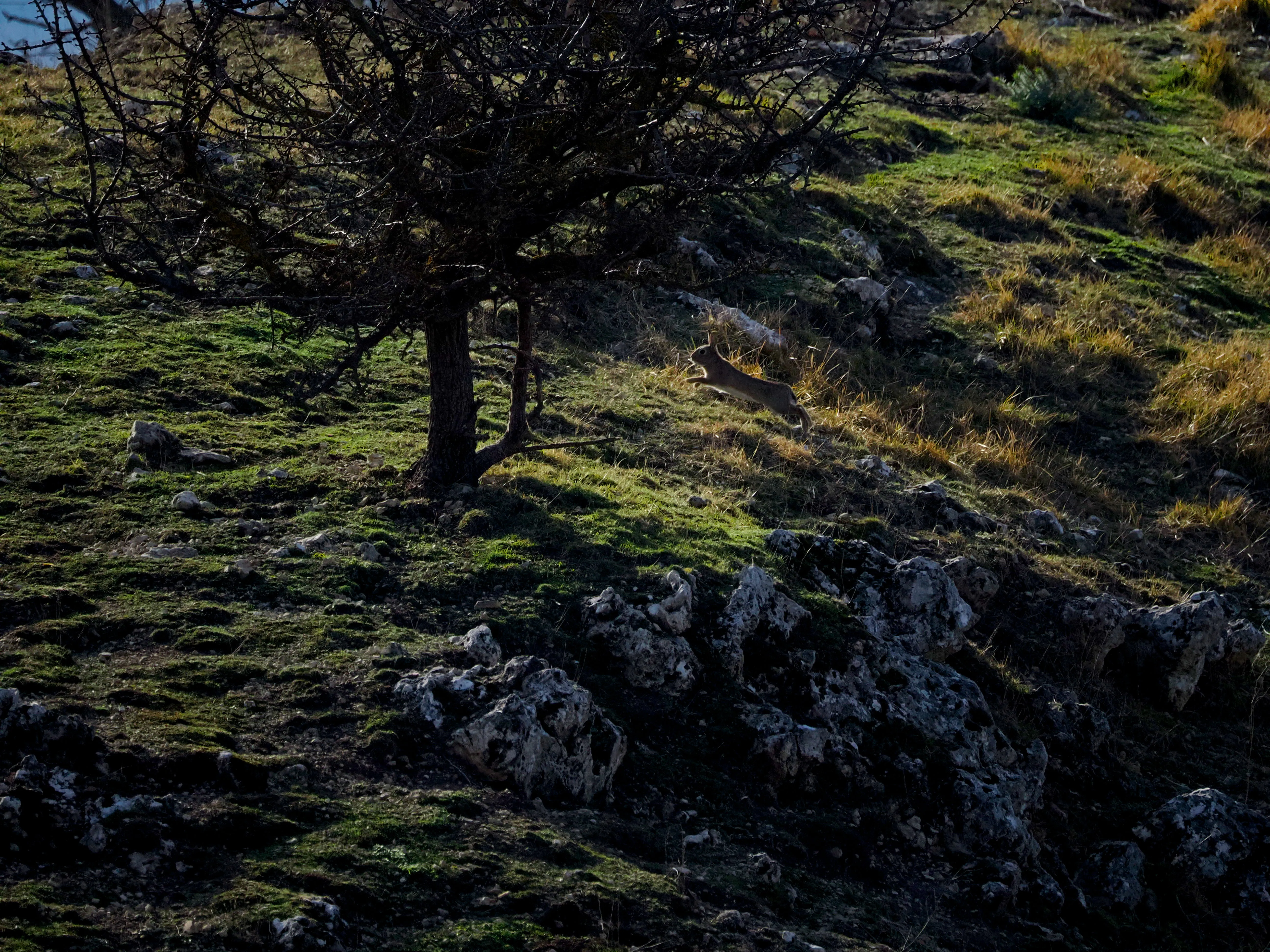 Dentro le Madonie con Matteo Orlando. Racconto visivo tra bellezza e mutamento