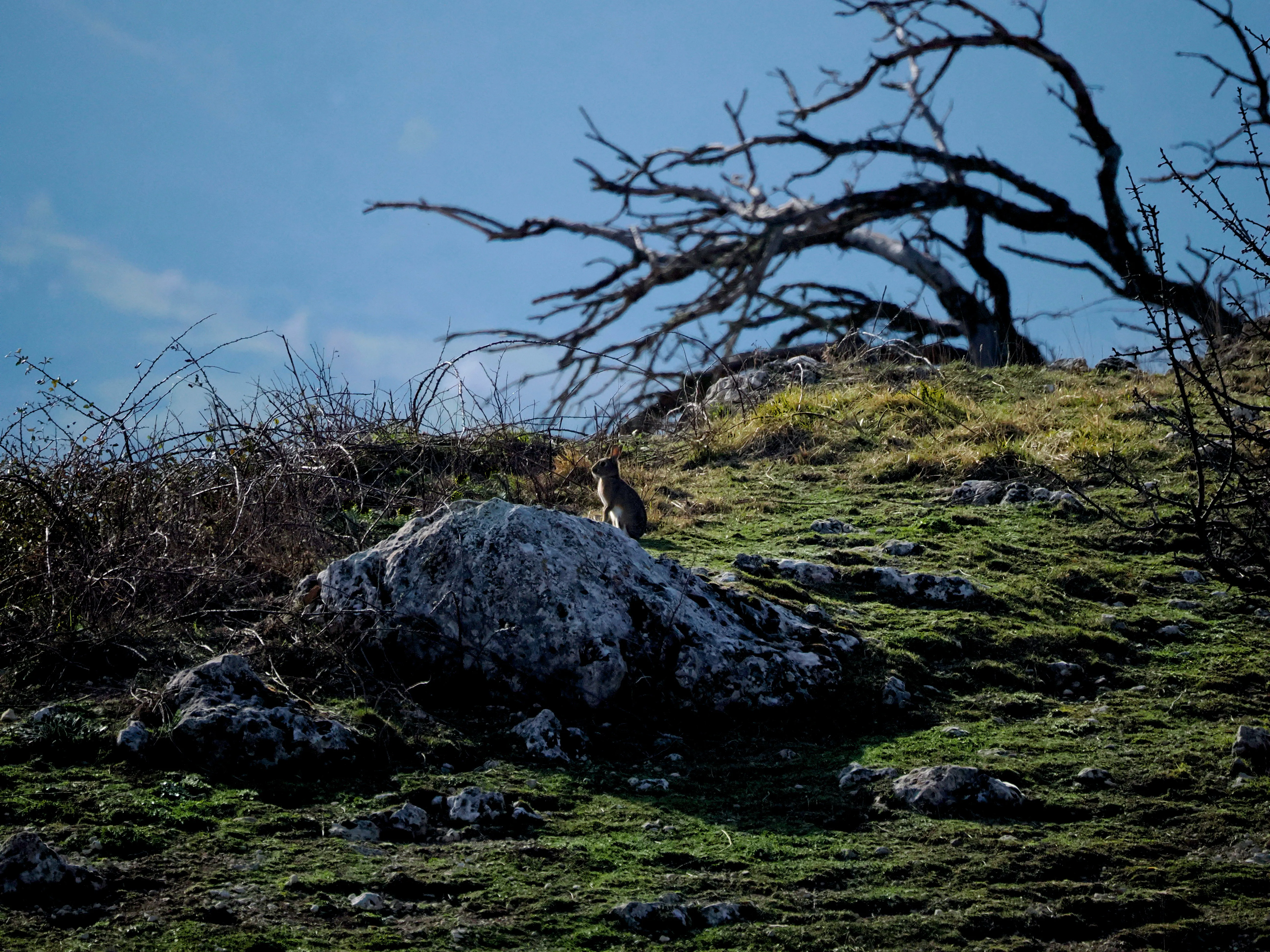 Dentro le Madonie con Matteo Orlando. Racconto visivo tra bellezza e mutamento