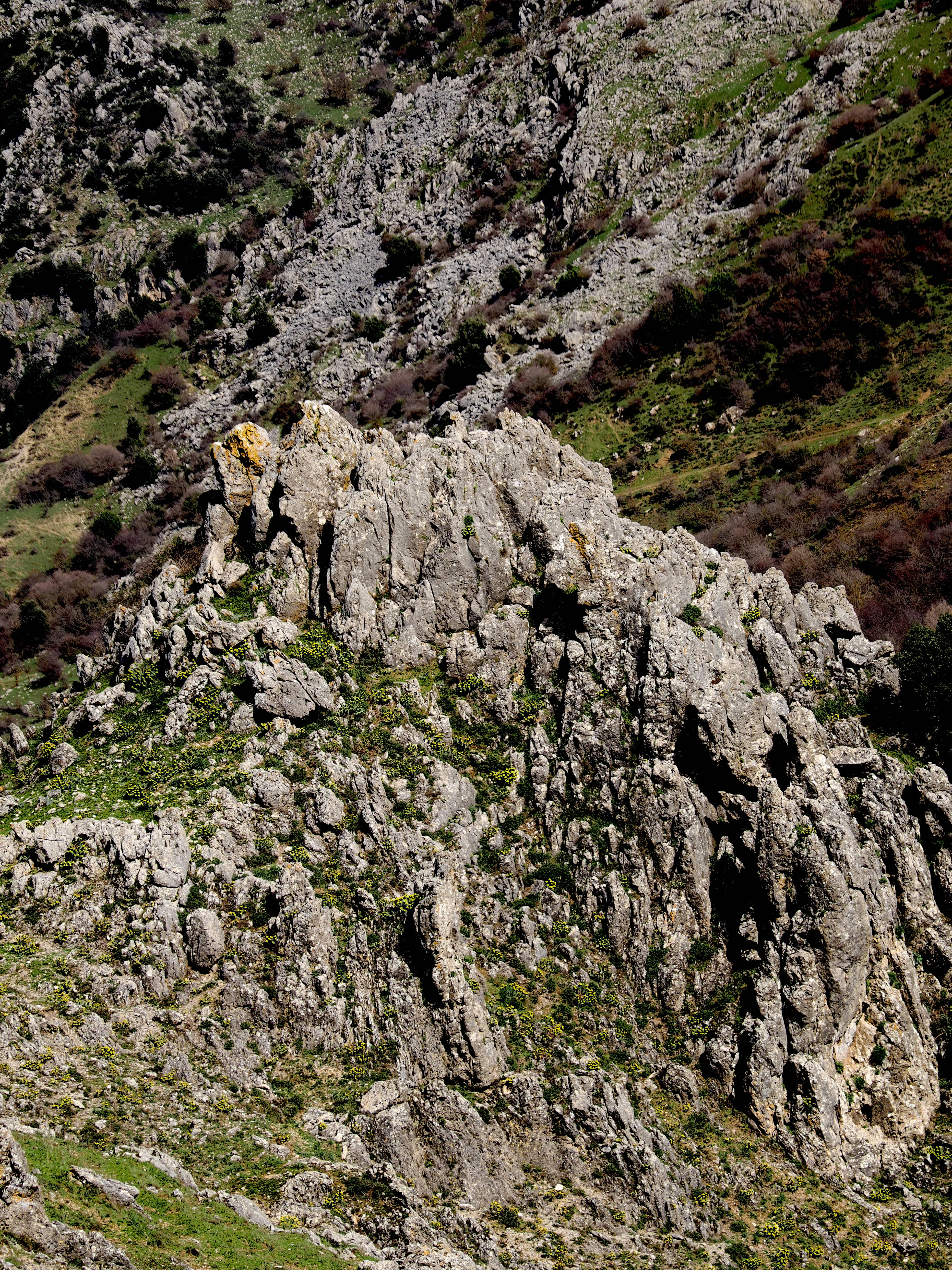 Dentro le Madonie con Matteo Orlando. Racconto visivo tra bellezza e mutamento