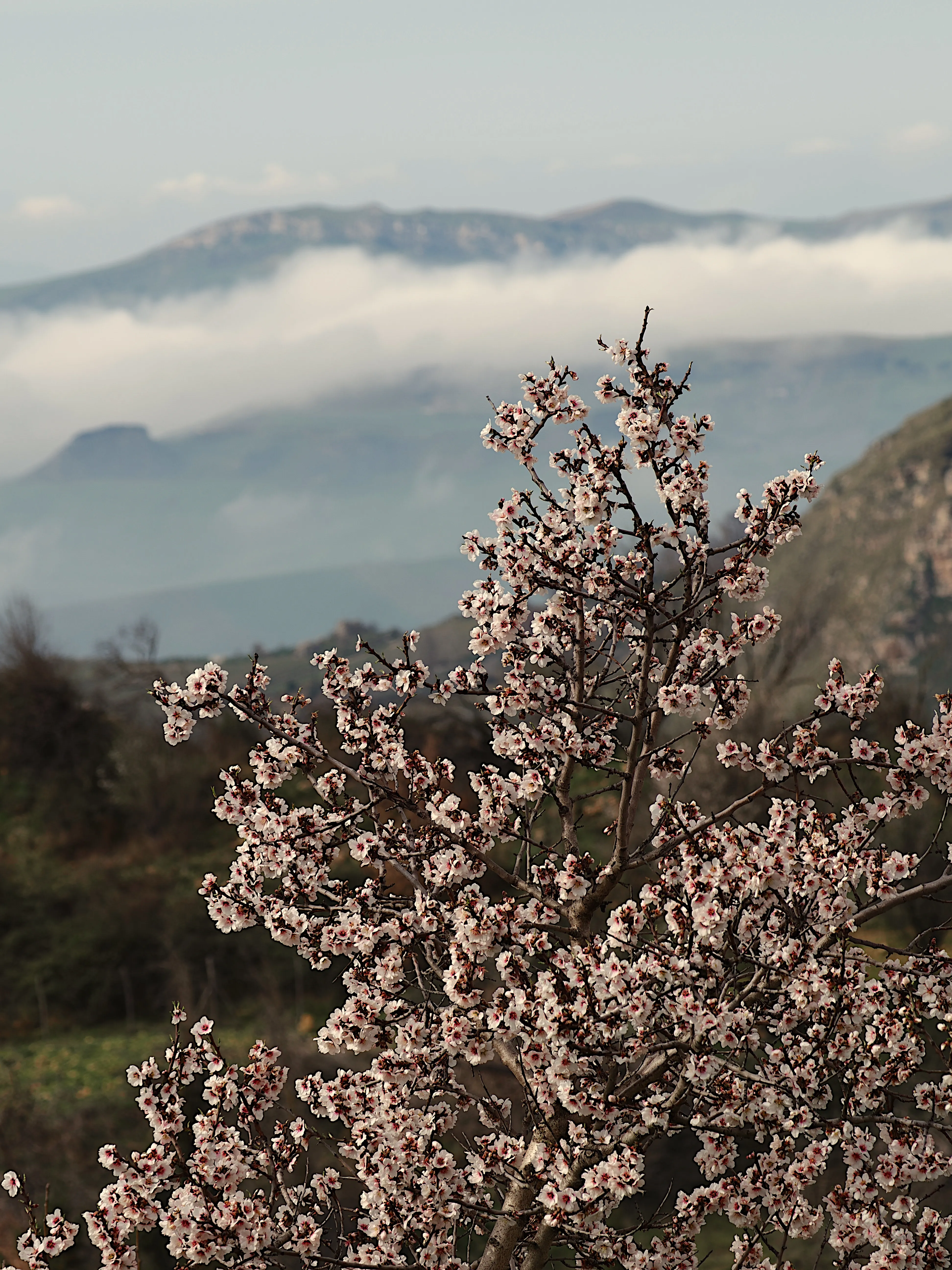 Dentro le Madonie con Matteo Orlando. Racconto visivo tra bellezza e mutamento