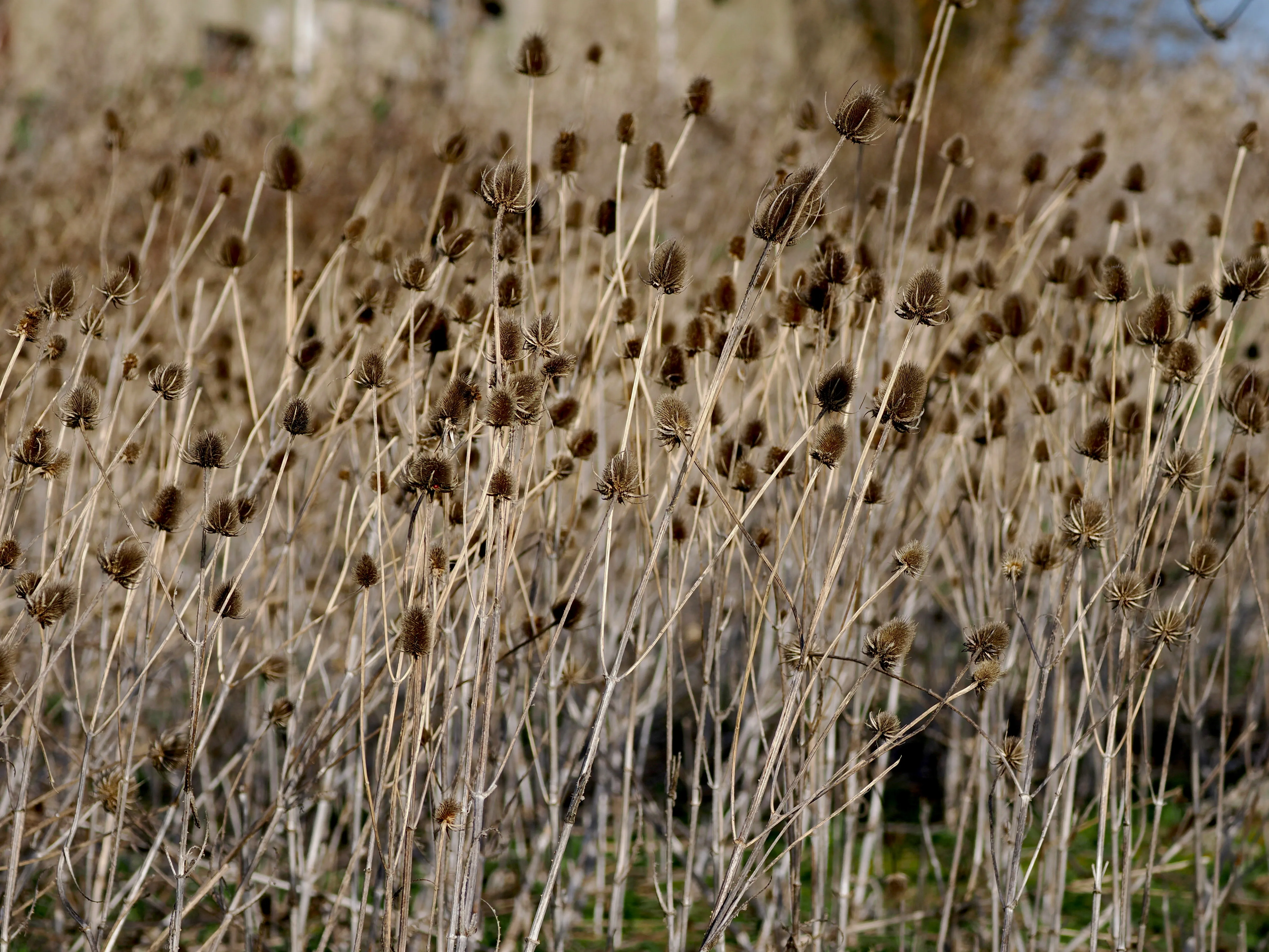 Dentro le Madonie con Matteo Orlando. Racconto visivo tra bellezza e mutamento