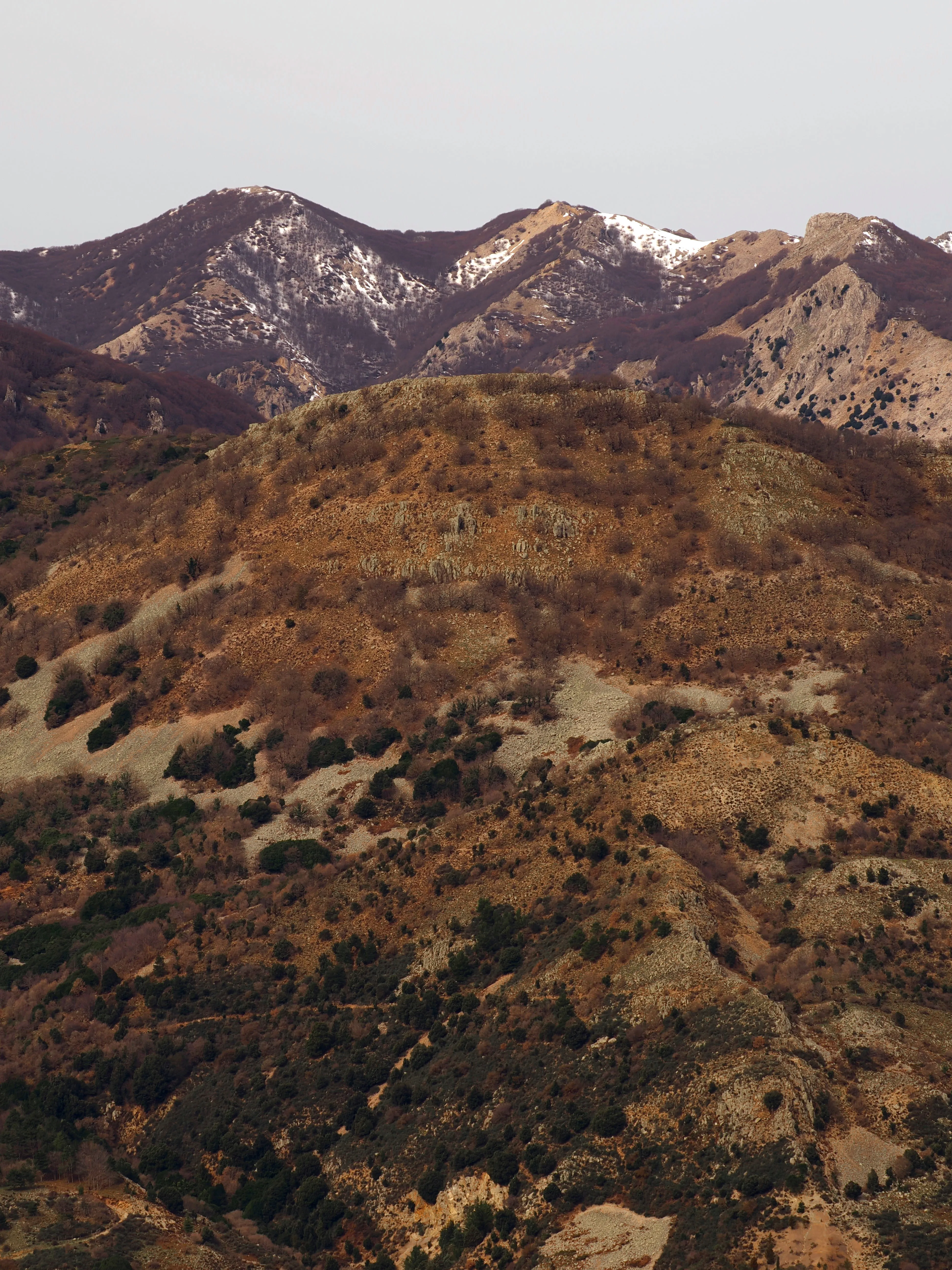 Dentro le Madonie con Matteo Orlando. Racconto visivo tra bellezza e mutamento