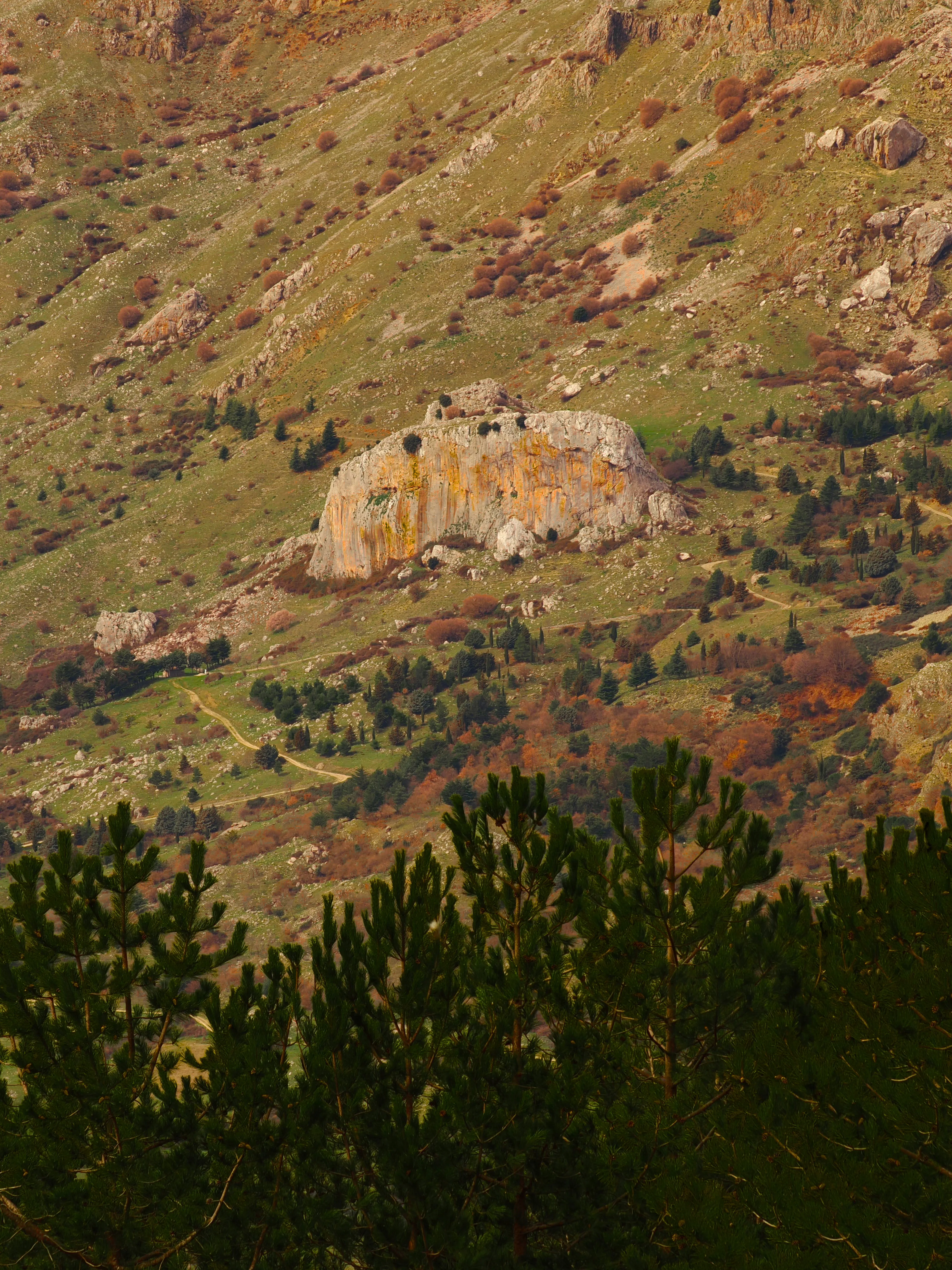 Dentro le Madonie con Matteo Orlando. Racconto visivo tra bellezza e mutamento