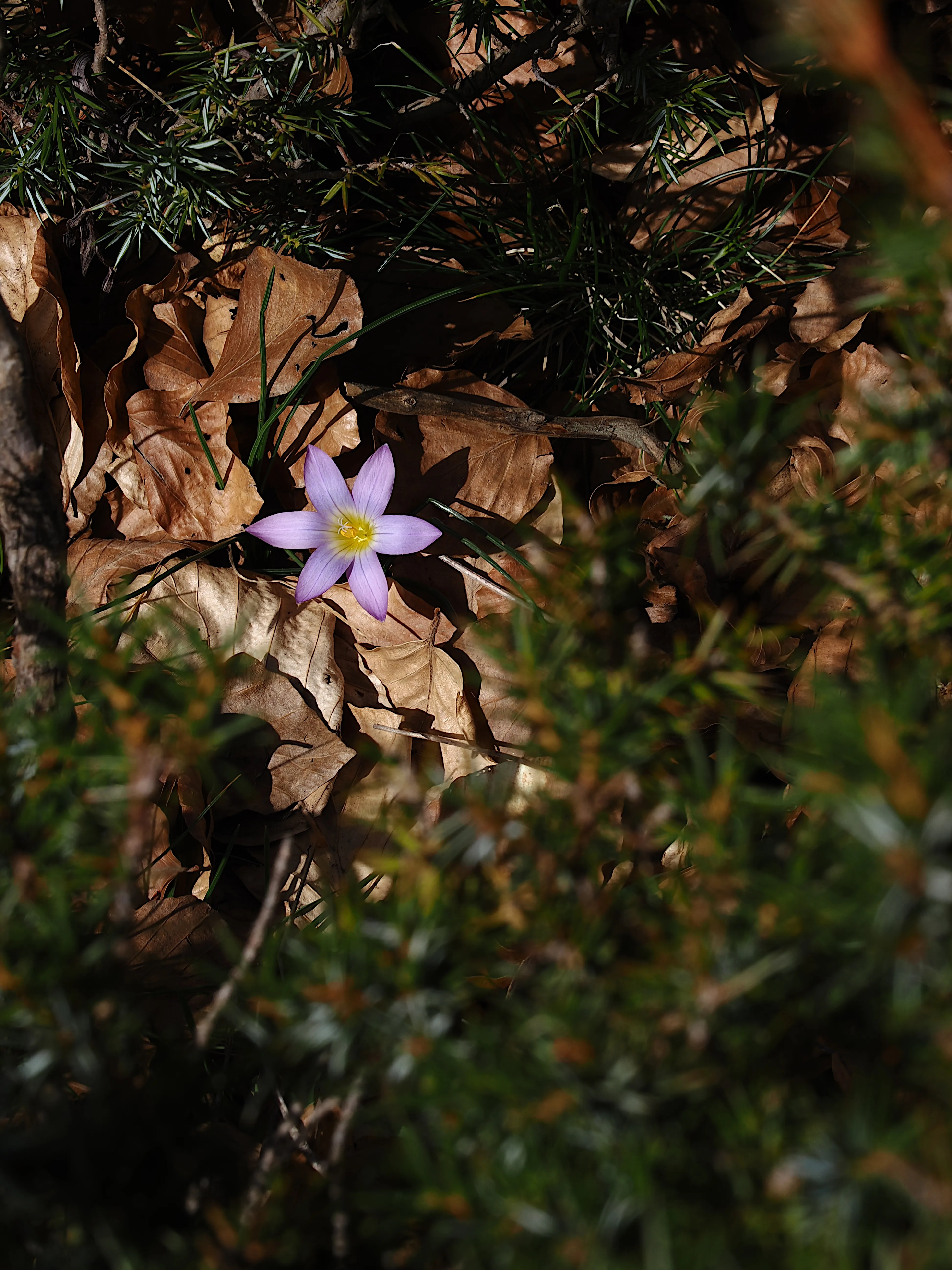 Dentro le Madonie con Matteo Orlando. Racconto visivo tra bellezza e mutamento