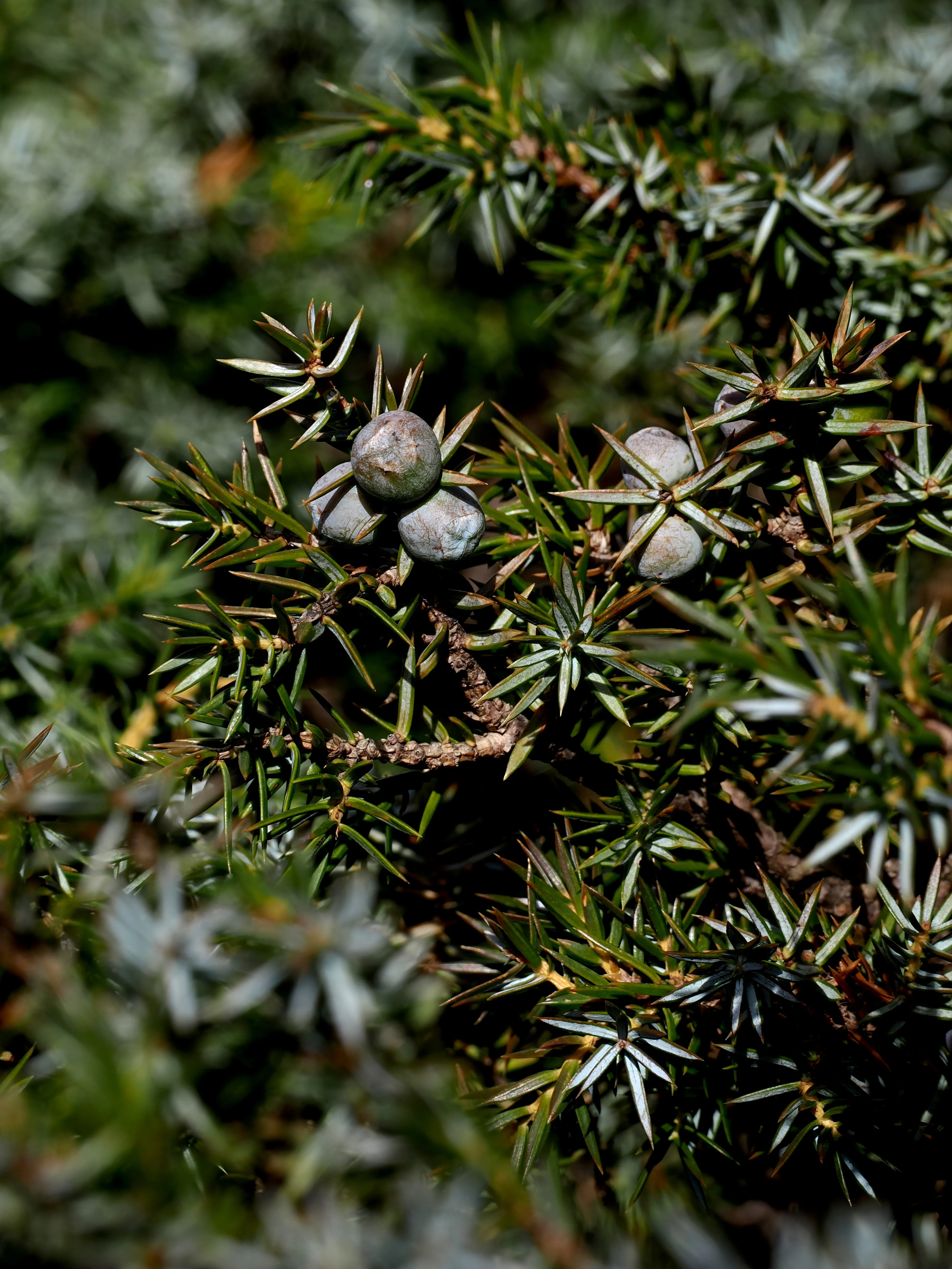 Dentro le Madonie con Matteo Orlando. Racconto visivo tra bellezza e mutamento