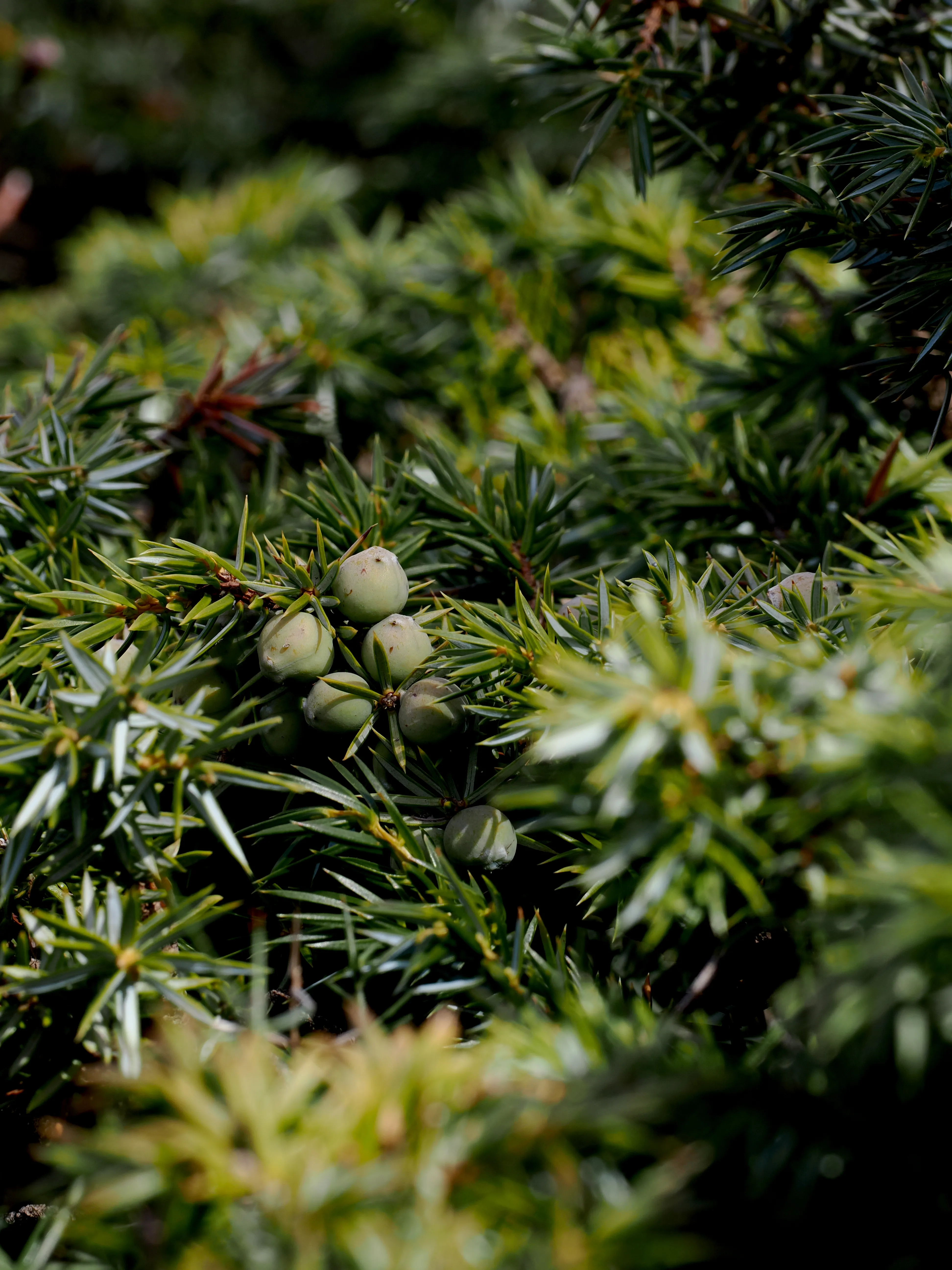 Dentro le Madonie con Matteo Orlando. Racconto visivo tra bellezza e mutamento