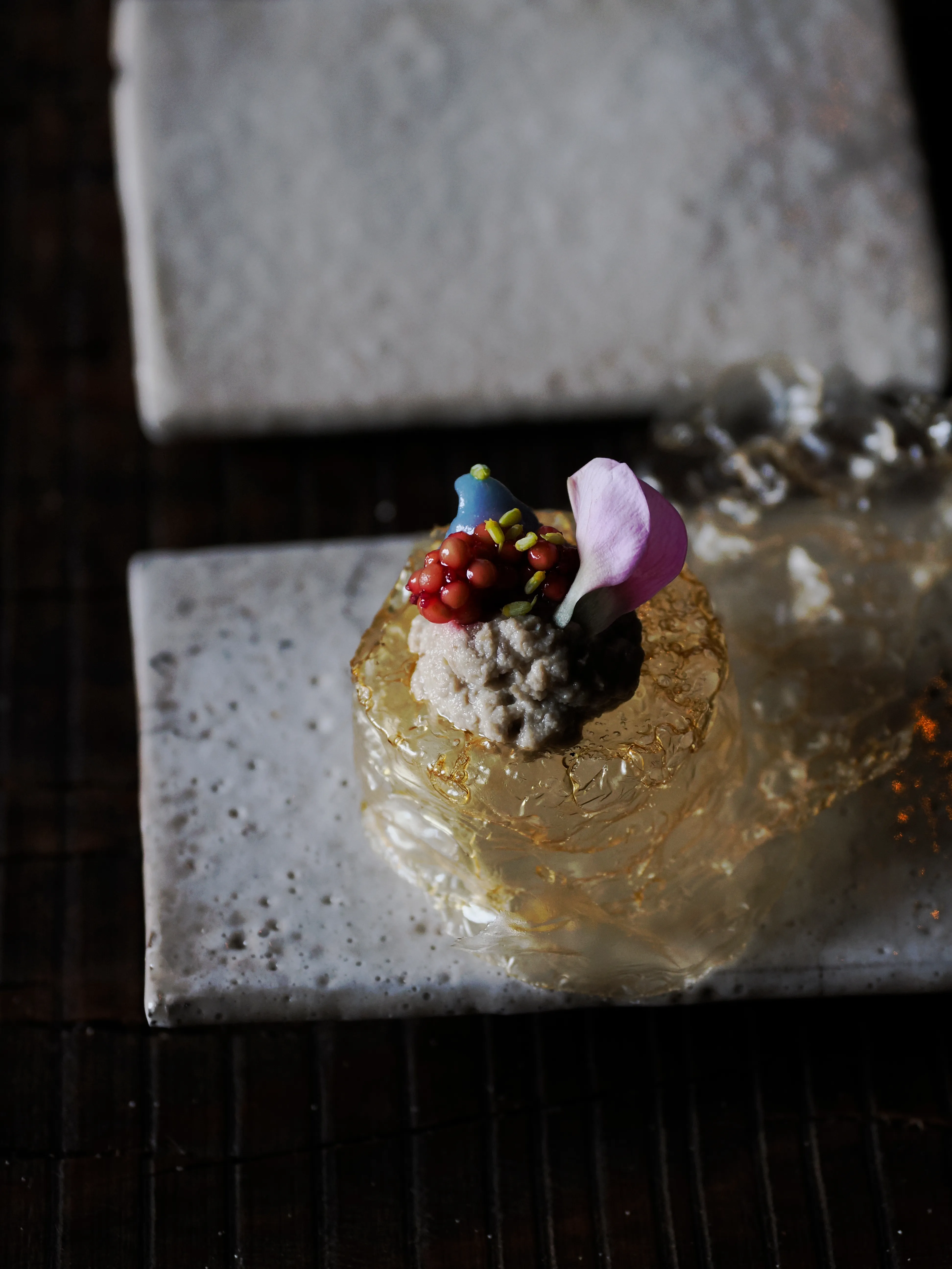 Régis Baudy. Lo chef artista e la sua poetica del vegetale.